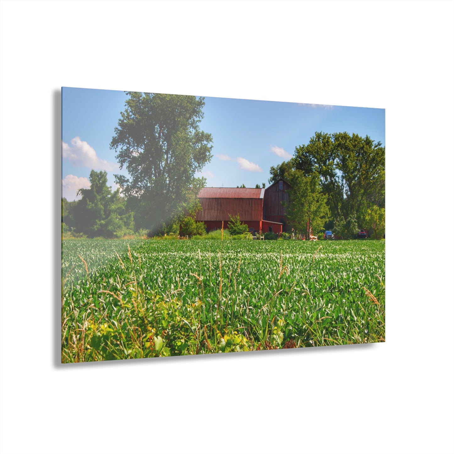U R There Photography Canada Road Hidden Red Rustic Farmhouse Acrylic Wall Print
