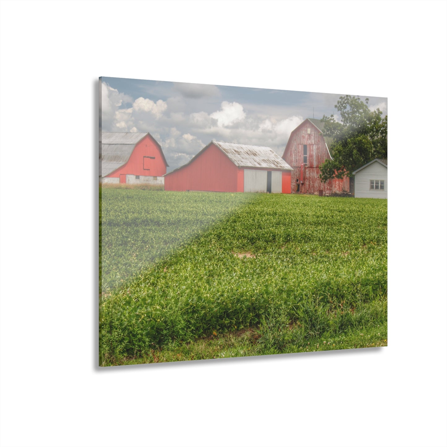 U R There Photography Roadside Trio Rustic Farmhouse Acrylic Wall Print