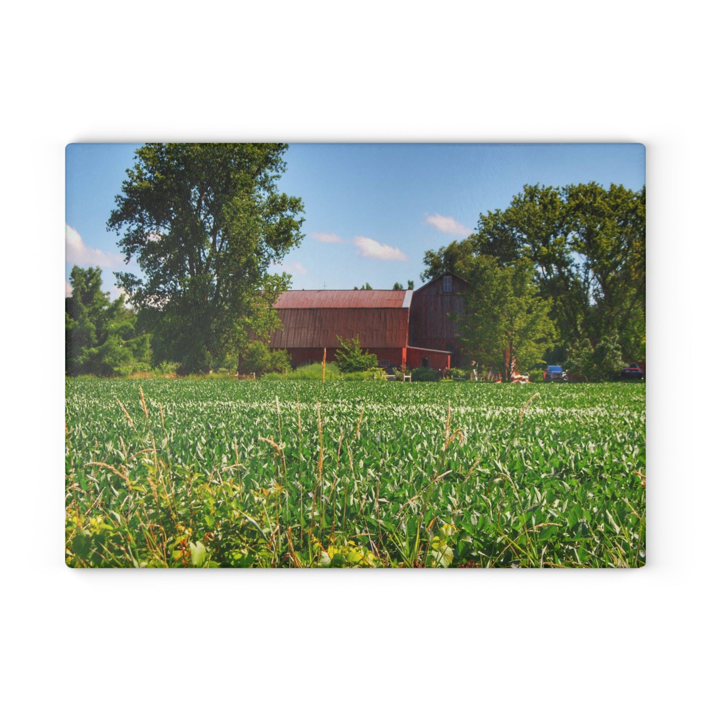 U R There Photography Canada Road Hidden Red Rustic Farmhouse Tempered-Glass Cutting Board