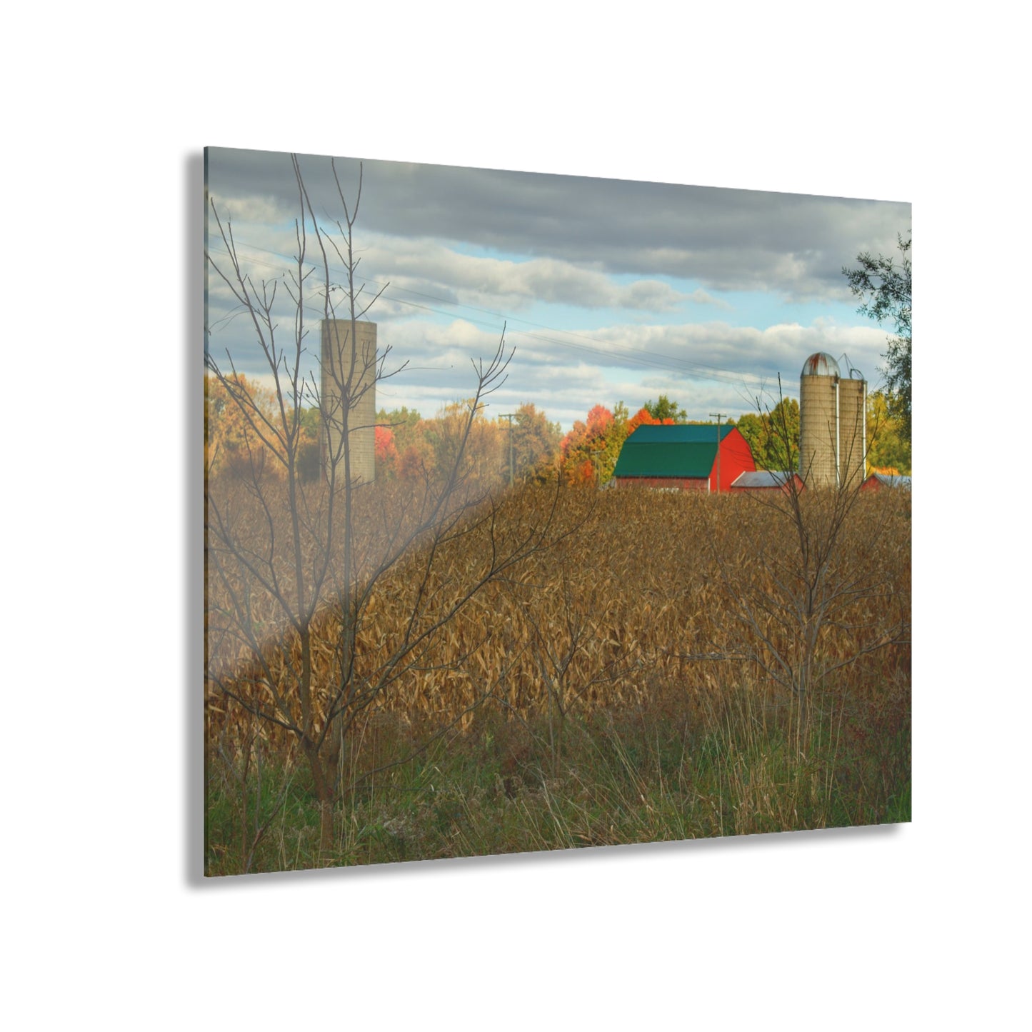 U R There Photography Beyond the Harvest Corn II Rustic Farmhouse Acrylic Wall Print