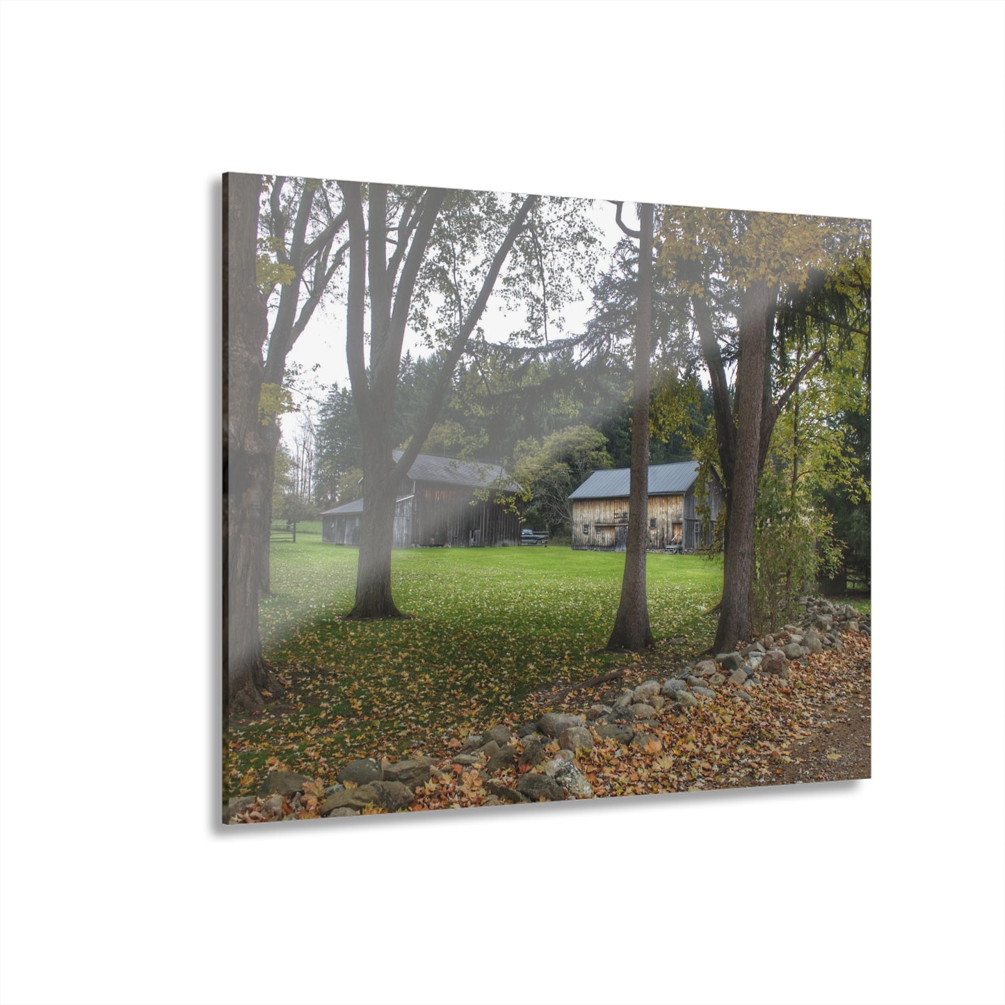 U R There Photography Wilder Road Greys I Rustic Farmhouse Acrylic Wall Print