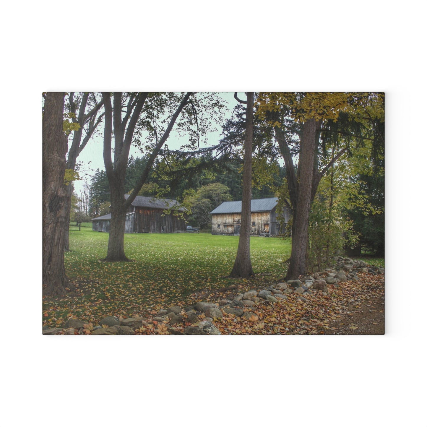 U R There Photography Wilder Road Grey I Rustic Farmhouse Tempered-Glass Cutting Board