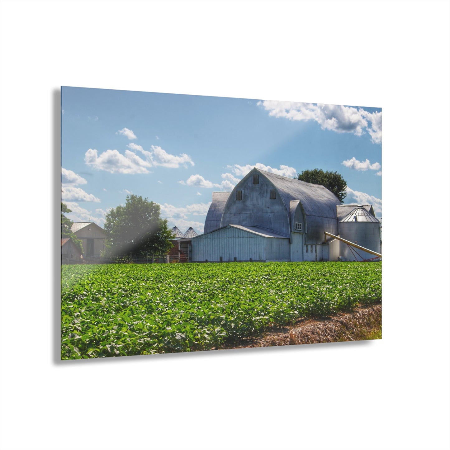 U R There Photography Canada Road White Rustic Farmhouse Acrylic Wall Print