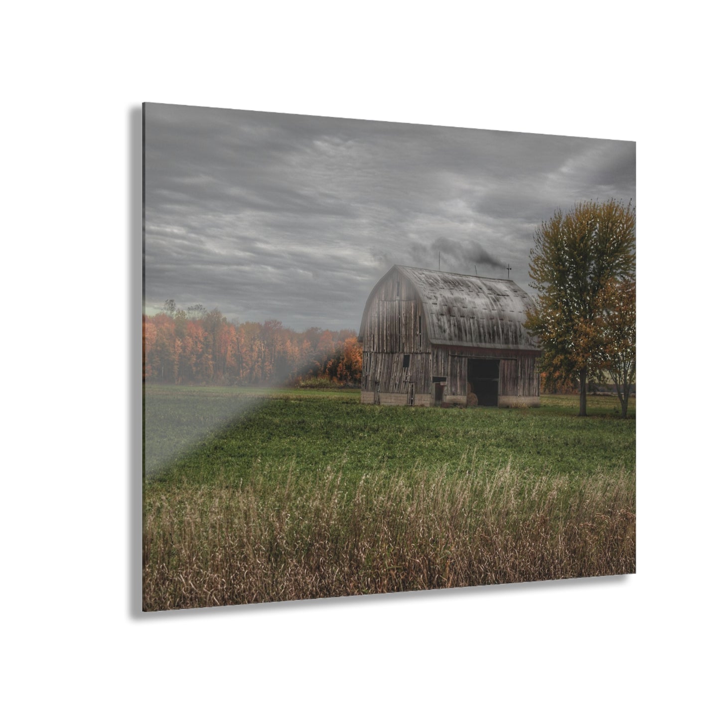 U R There Photography Bray Road Grey in the Fall Rustic Farmhouse Acrylic Wall Print