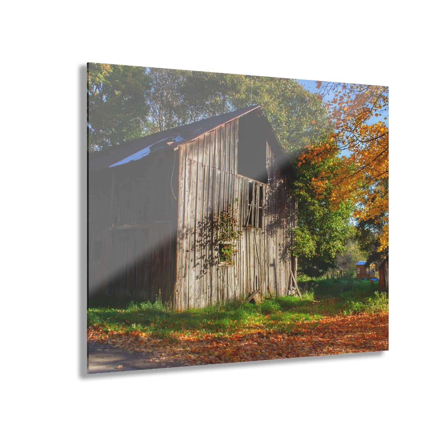 U R There Photography Shoemaker Road Hidden Grey Rustic Farmhouse Acrylic Wall Print