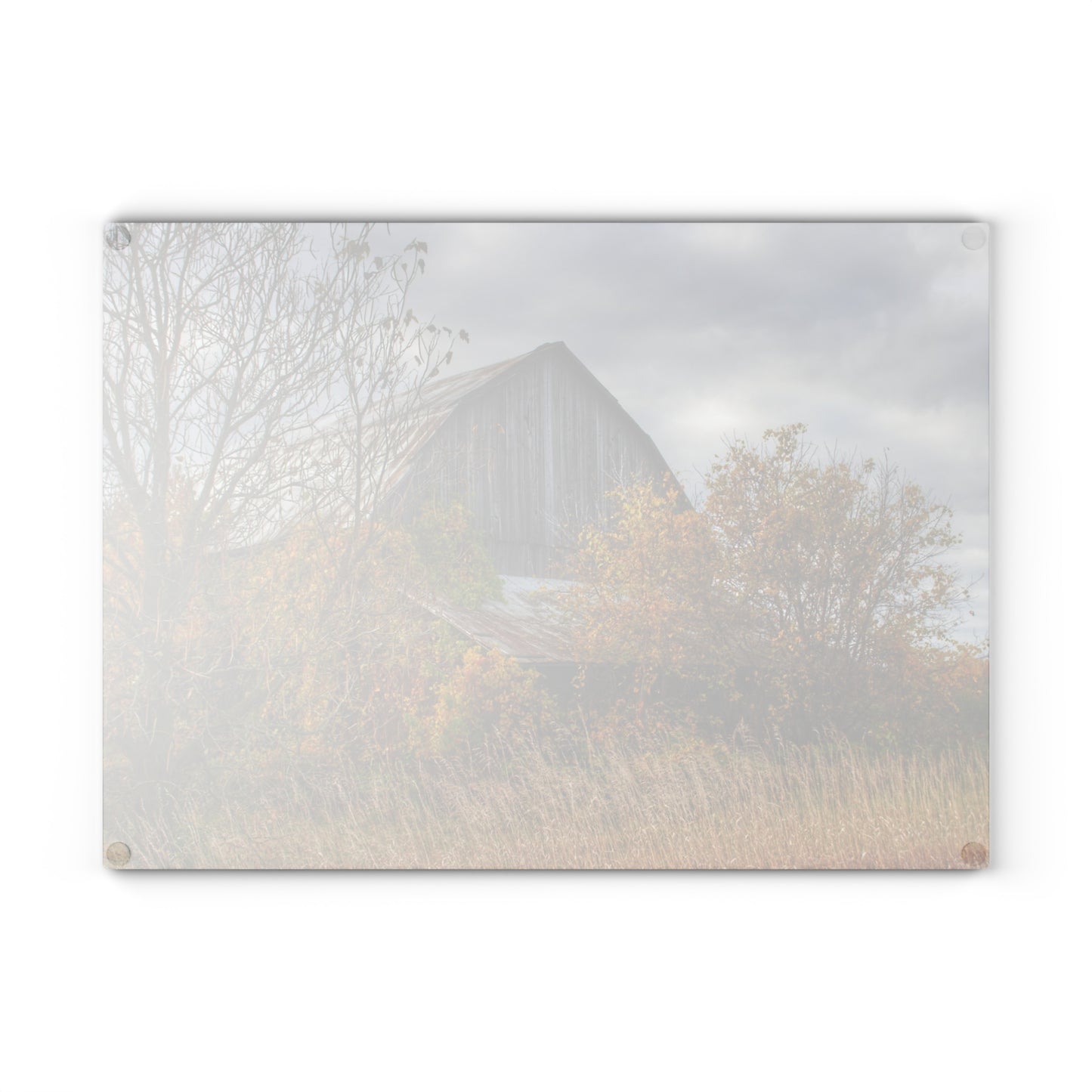 U R There Photography Church Road Grey IV Rustic Farmhouse Tempered-Glass Cutting Board