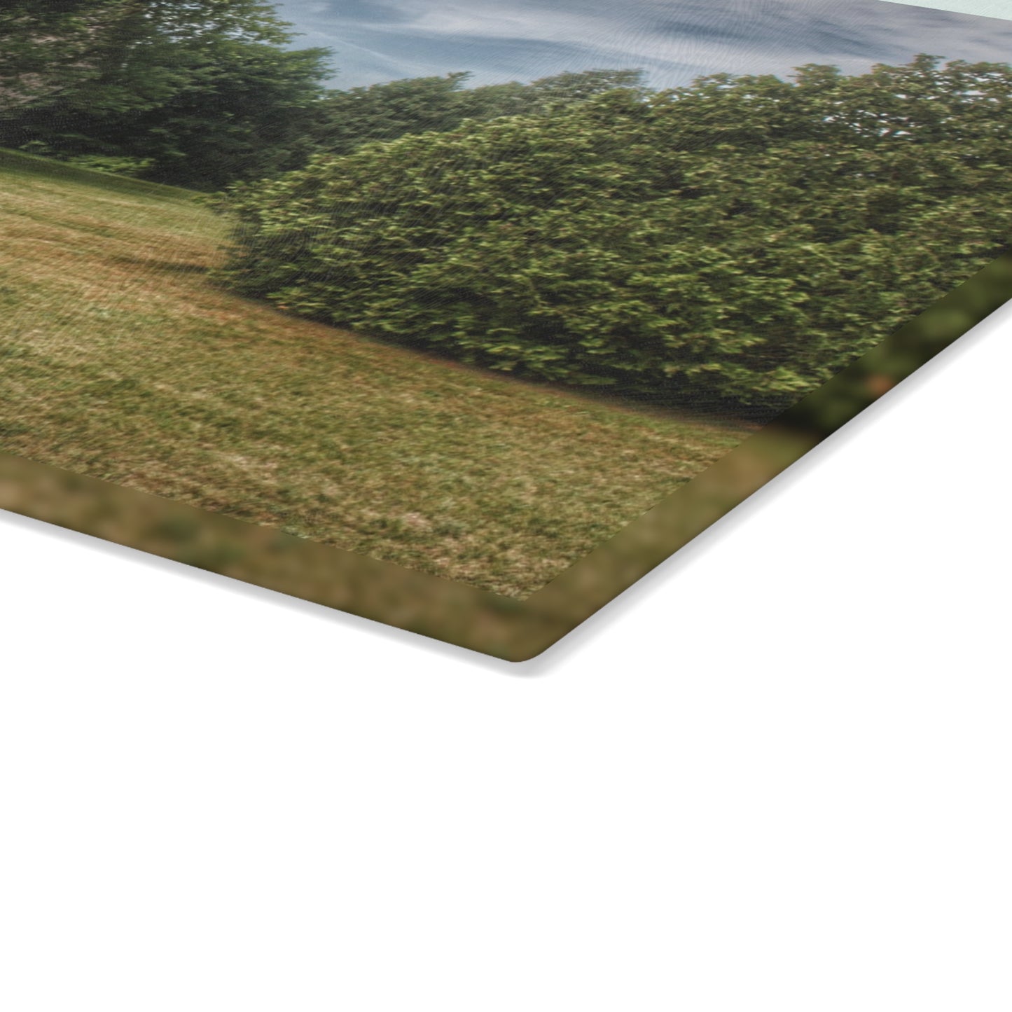U R There Photography Thistle Valley Weathered Grey Rustic Farmhouse Tempered-Glass Cutting Board