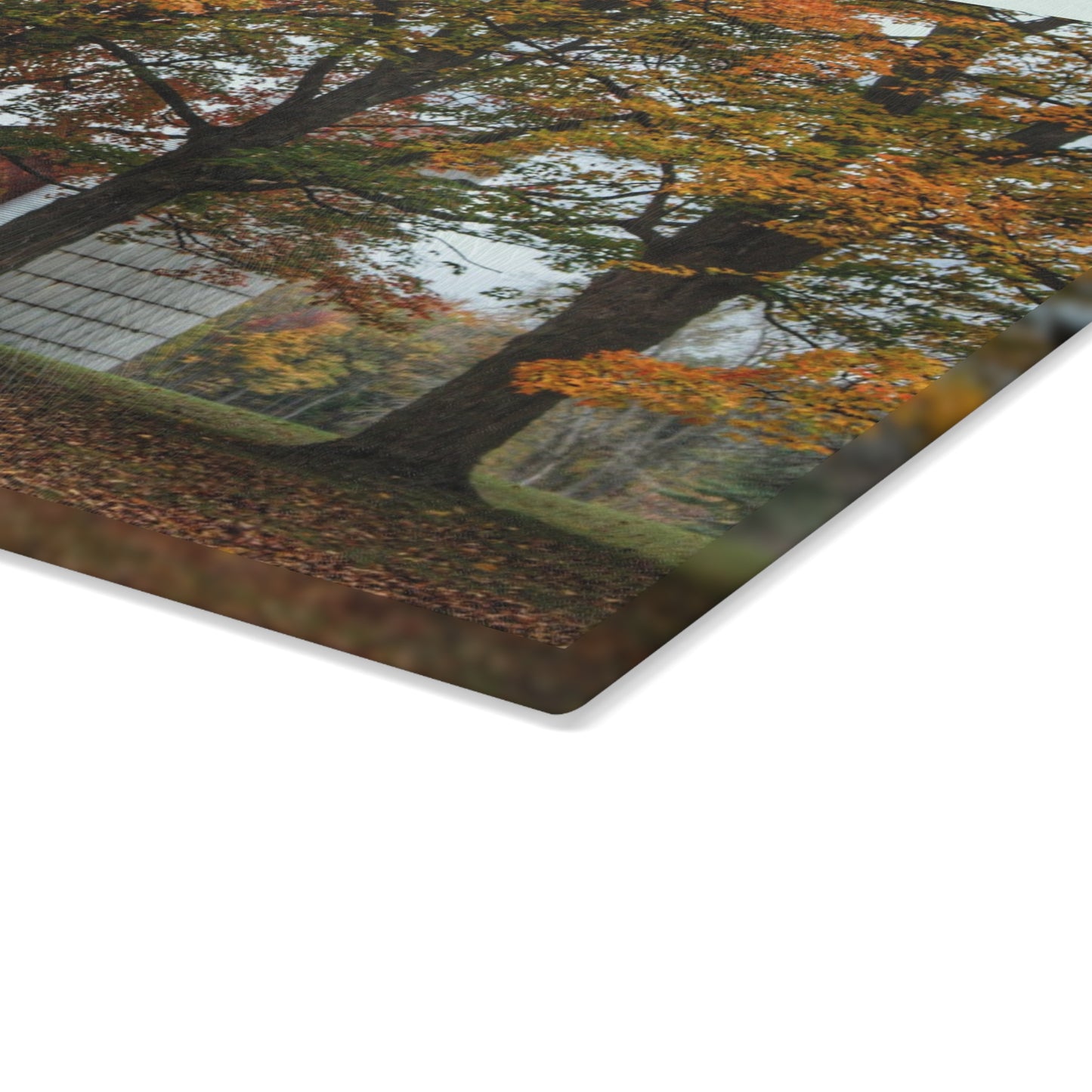 U R There Photography Brown Road Red in the Fall Rustic Farmhouse Tempered-Glass Cutting Board