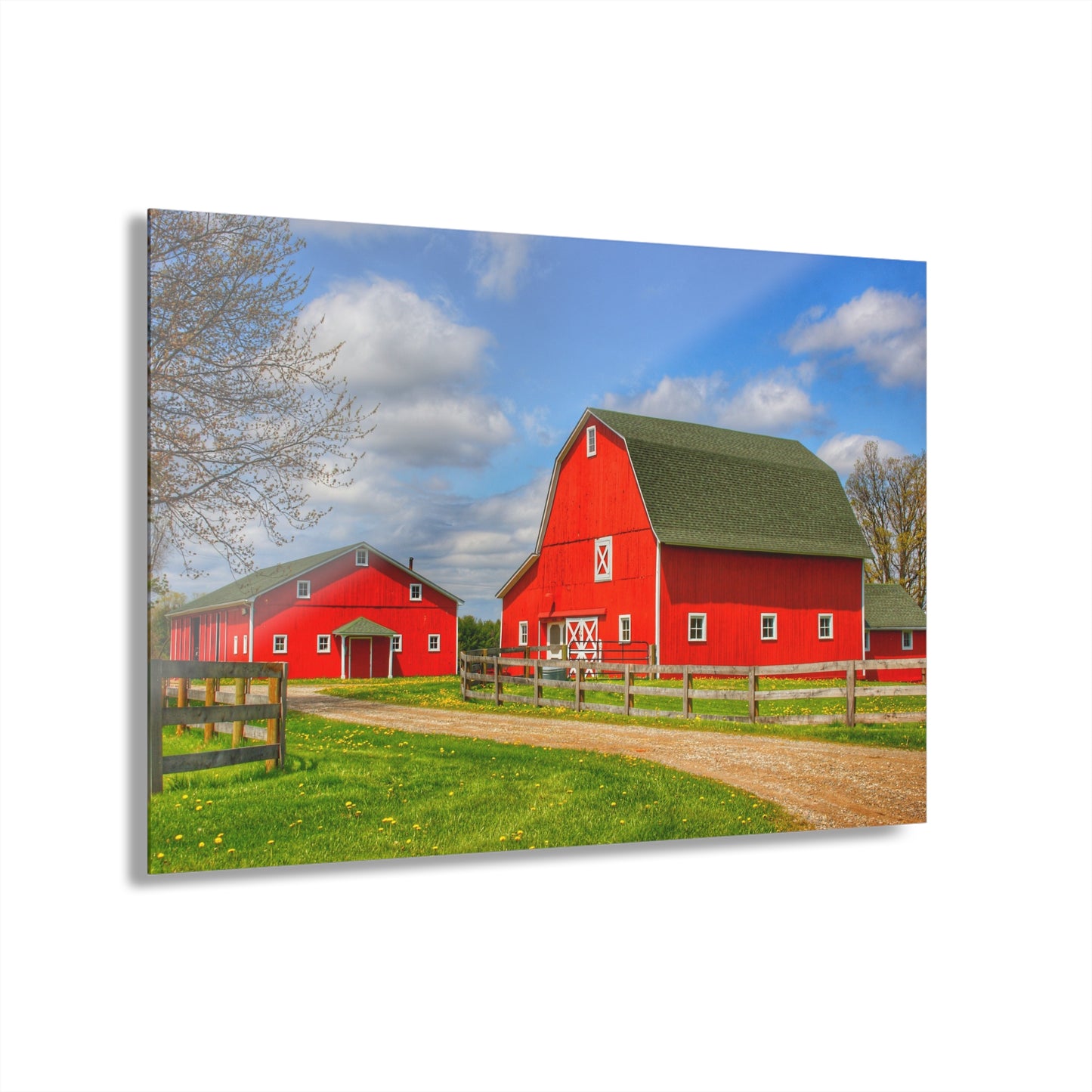 U R There Photography Sohn Road Reds Rustic Farmhouse Acrylic Wall Print