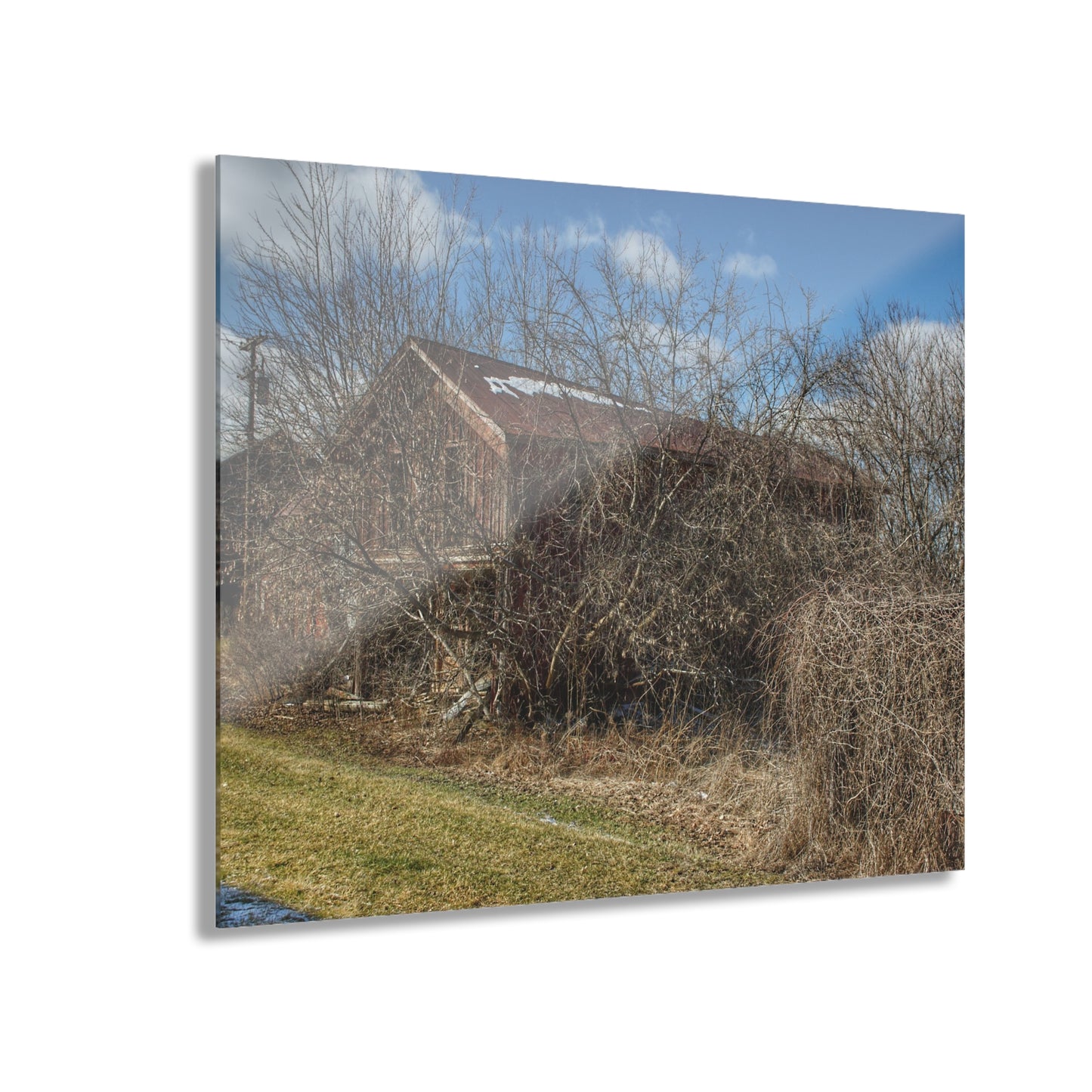 U R There Photography Buried Burnside Greys I Rustic Farmhouse Acrylic Wall Print