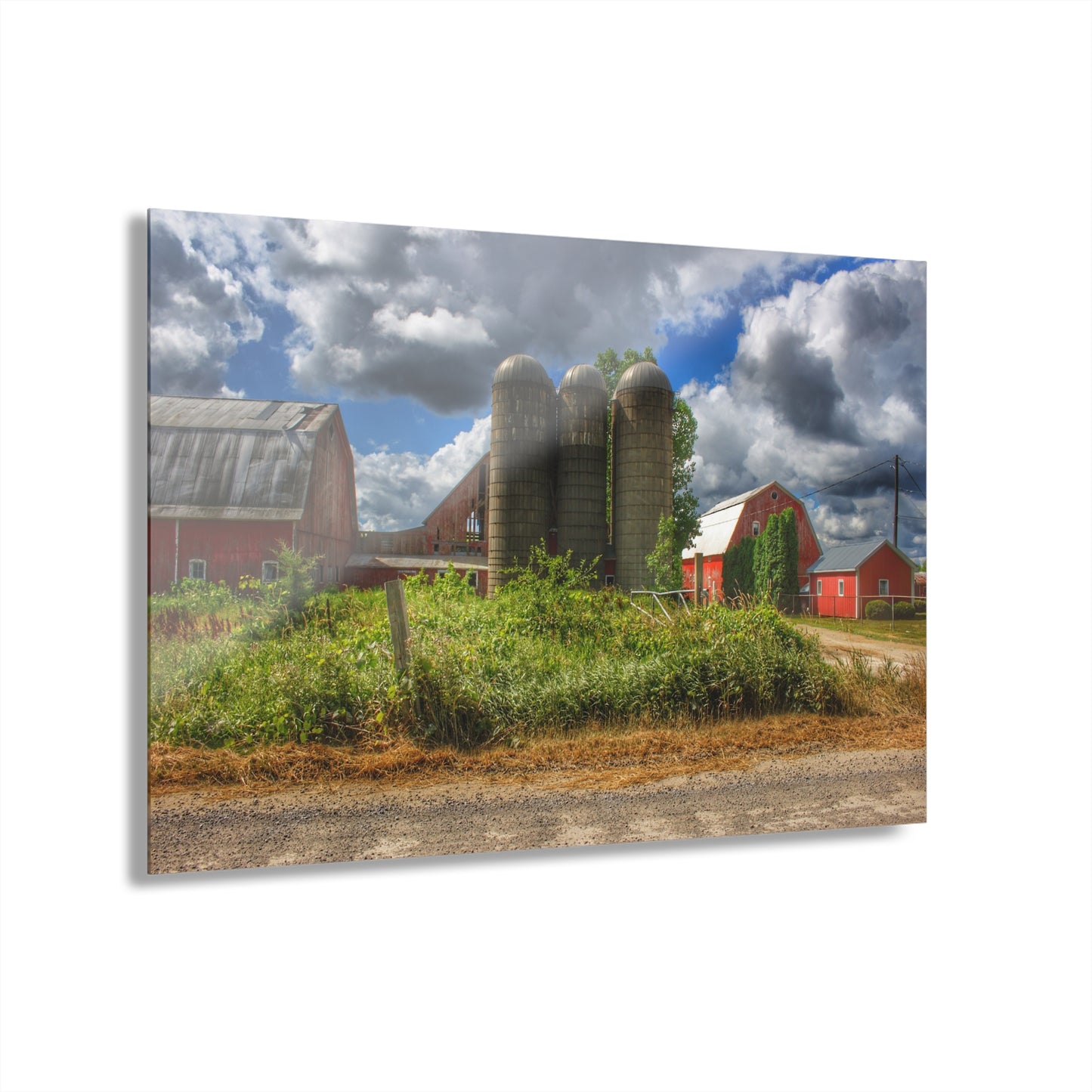 U R There Photography Shelby Red II Rustic Farmhouse Acrylic Wall Print