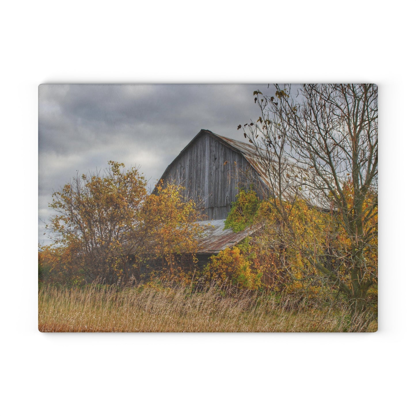 U R There Photography Church Road Grey IV Rustic Farmhouse Tempered-Glass Cutting Board