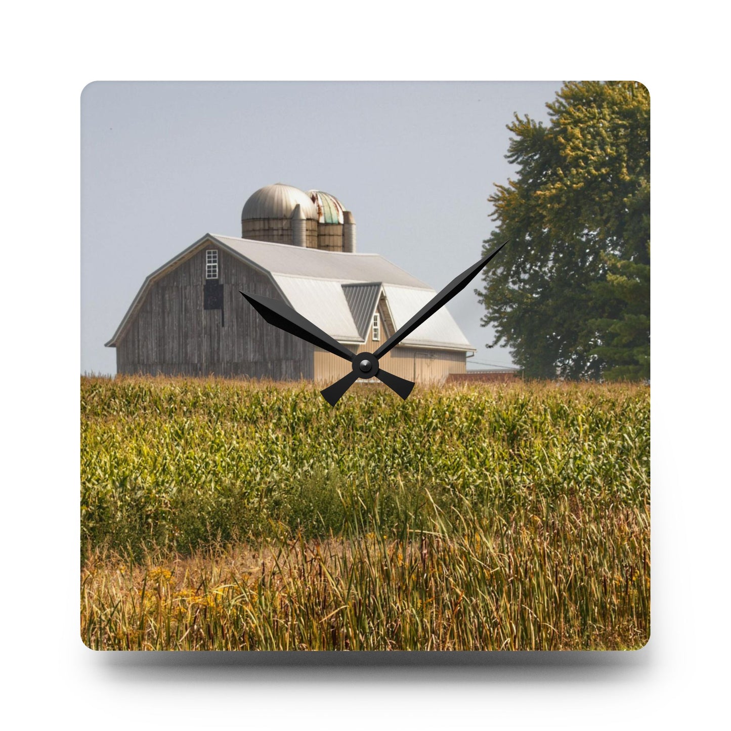 U R There Photography Beyond the September Corn on Swaffer Rustic Farmhouse Acrylic Analog Wall Clock