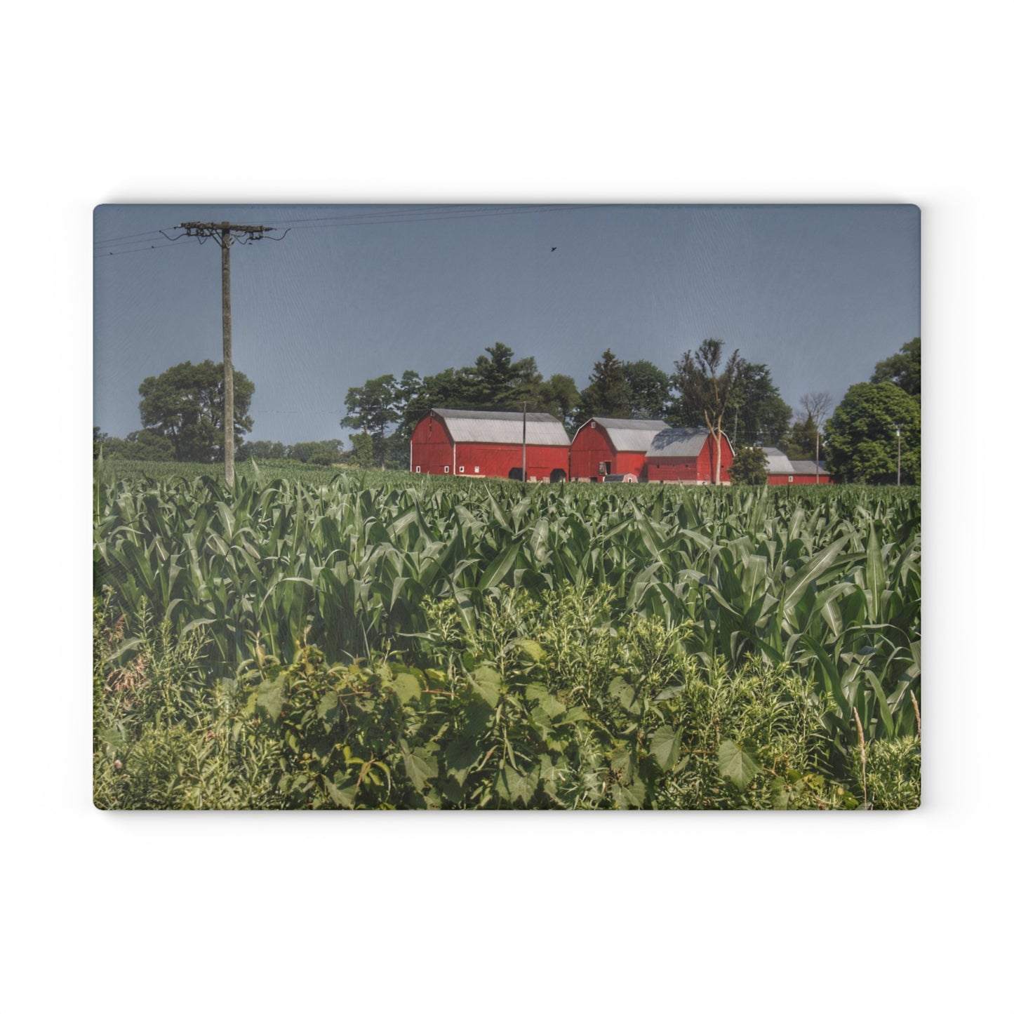 U R There Photography Shoemaker Road Reds Beyond the Corn Rustic Farmhouse Tempered-Glass Cutting Board