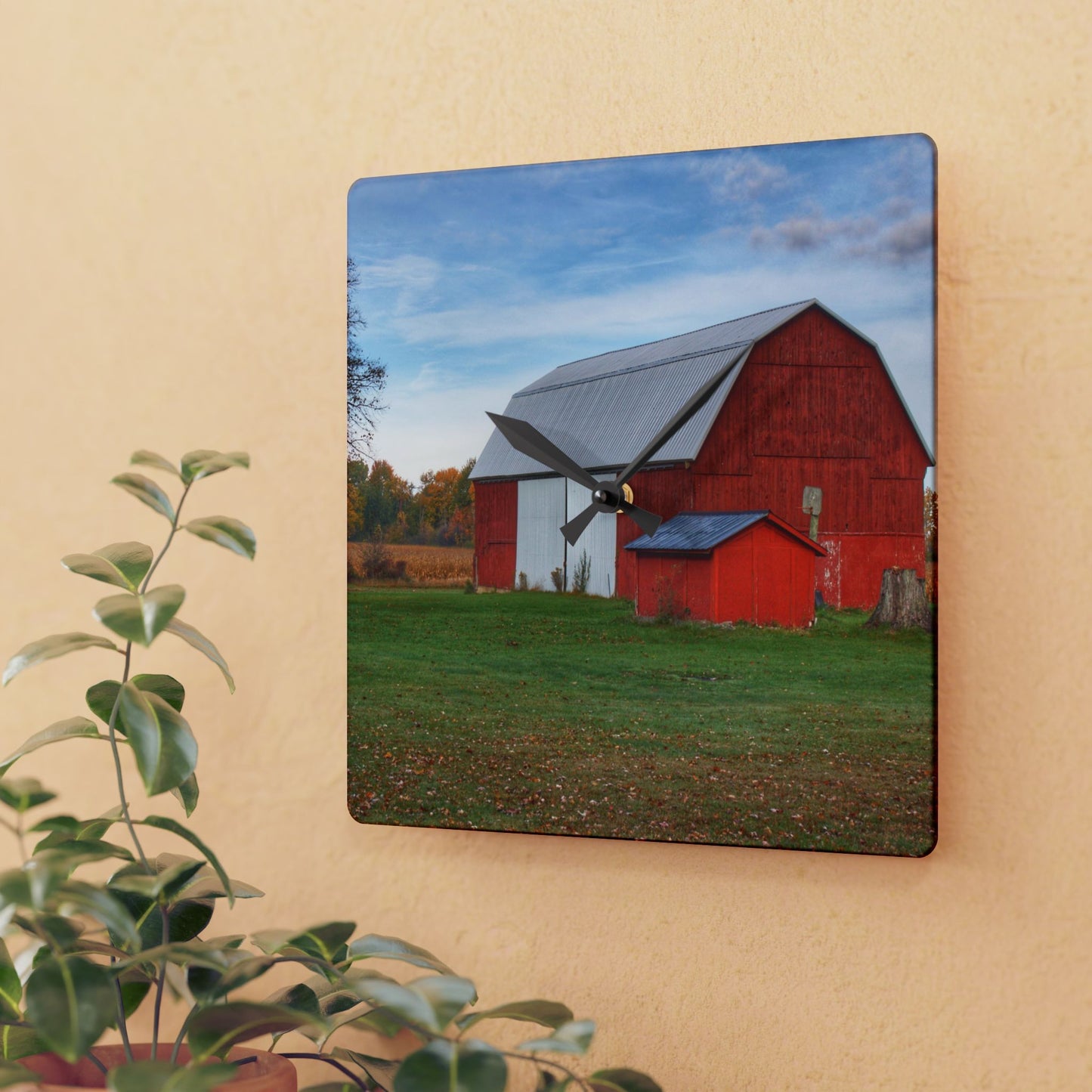 U R There Photography Ruth Reds Rustic Farmhouse Acrylic Analog Wall Clock
