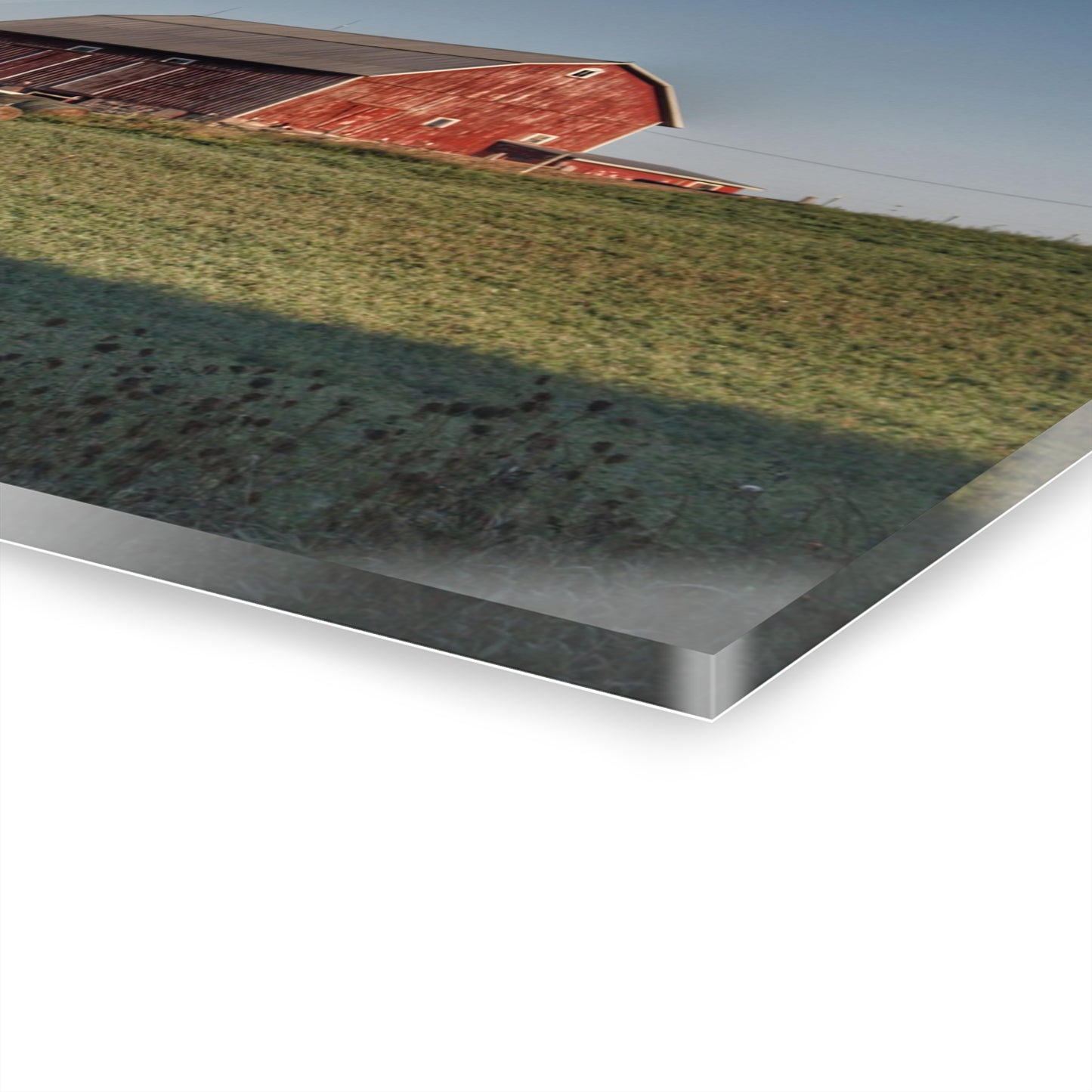 U R There Photography Across the Field in Millington Rustic Farmhouse Acrylic Wall Print