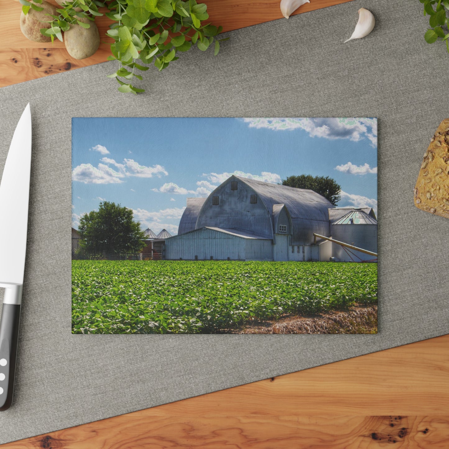 U R There Photography Canada Road White Rustic Farmhouse Tempered-Glass Cutting Board