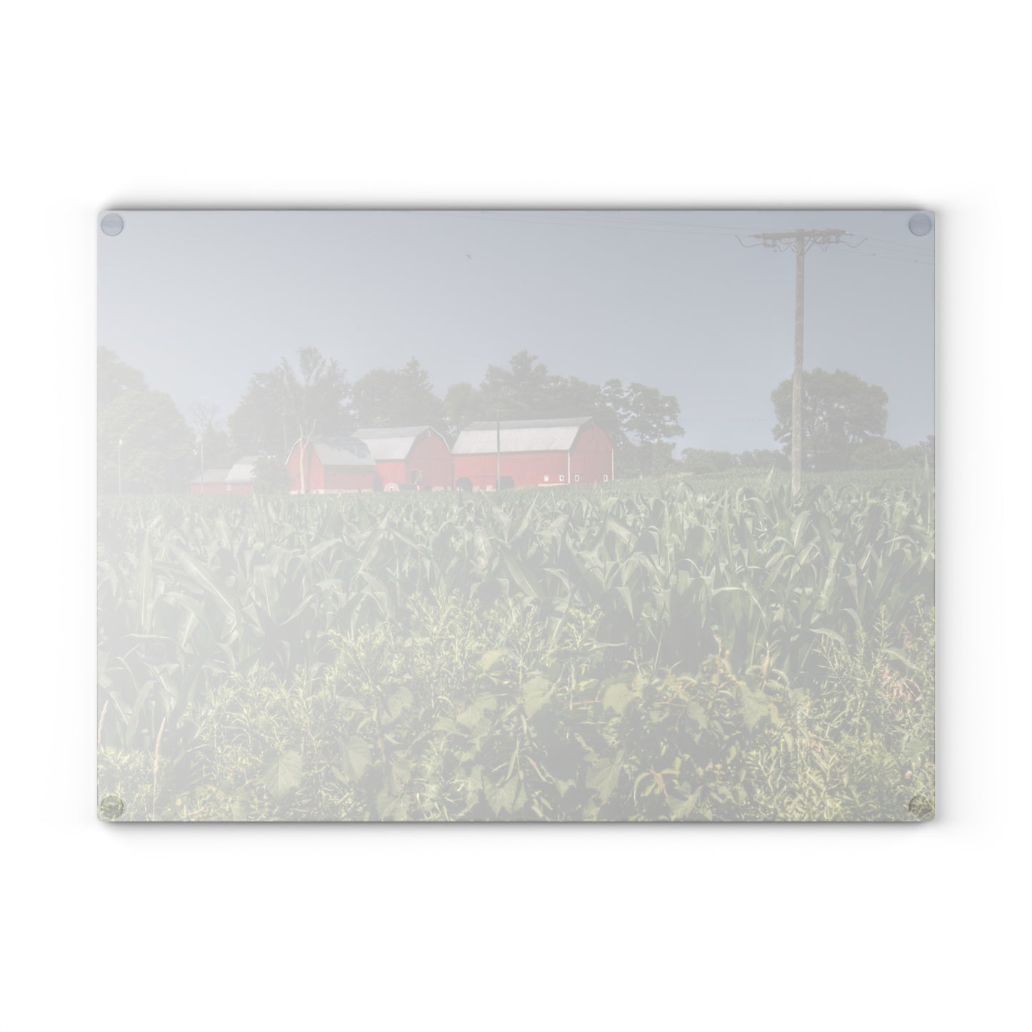 U R There Photography Shoemaker Road Reds Beyond the Corn Rustic Farmhouse Tempered-Glass Cutting Board
