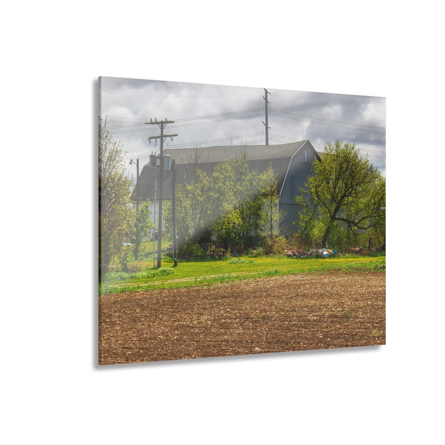 U R There Photography Rescue Road Old Grey Rustic Farmhouse Acrylic Wall Print