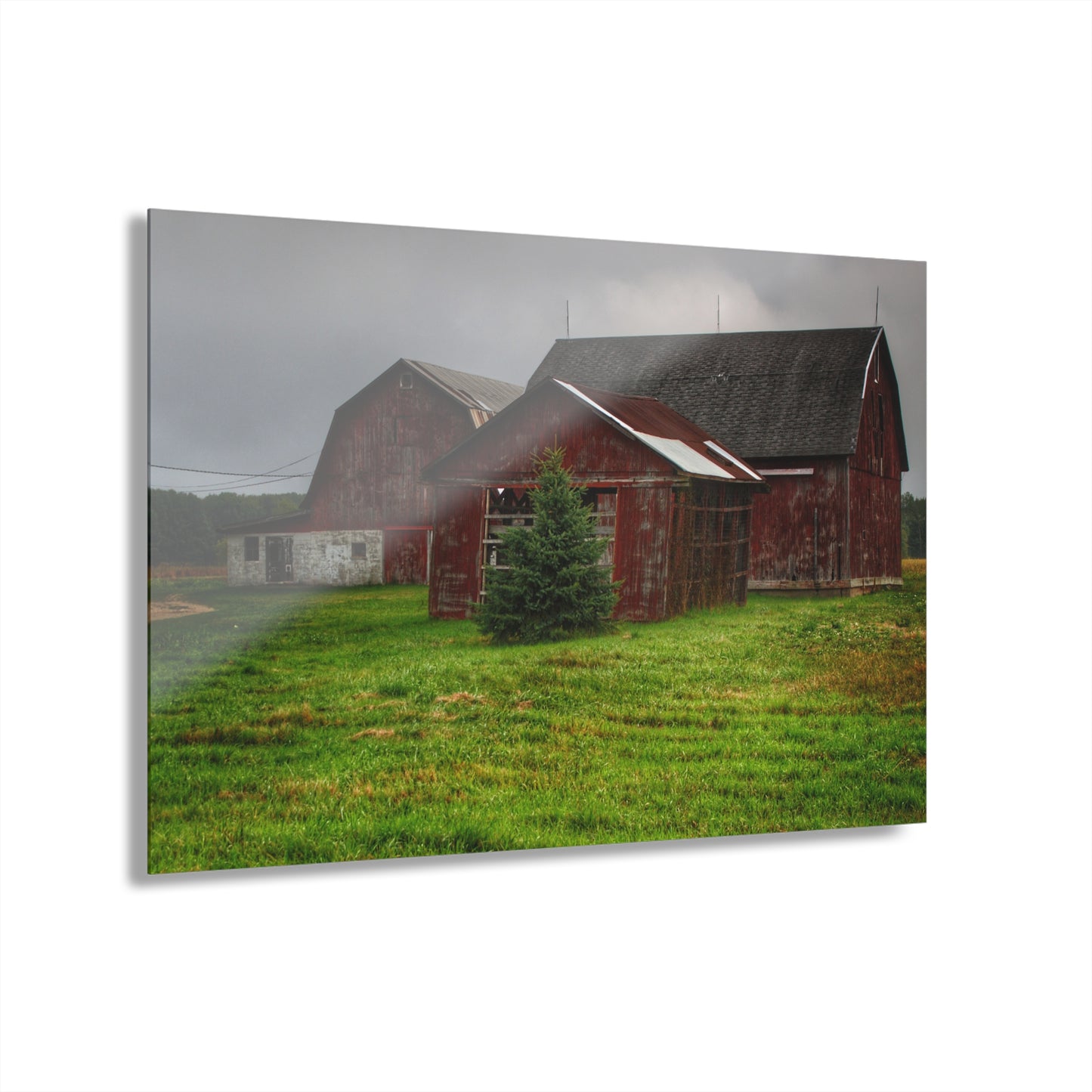 U R There Photography Winslow Road Reds Rustic Farmhouse Acrylic Wall Print