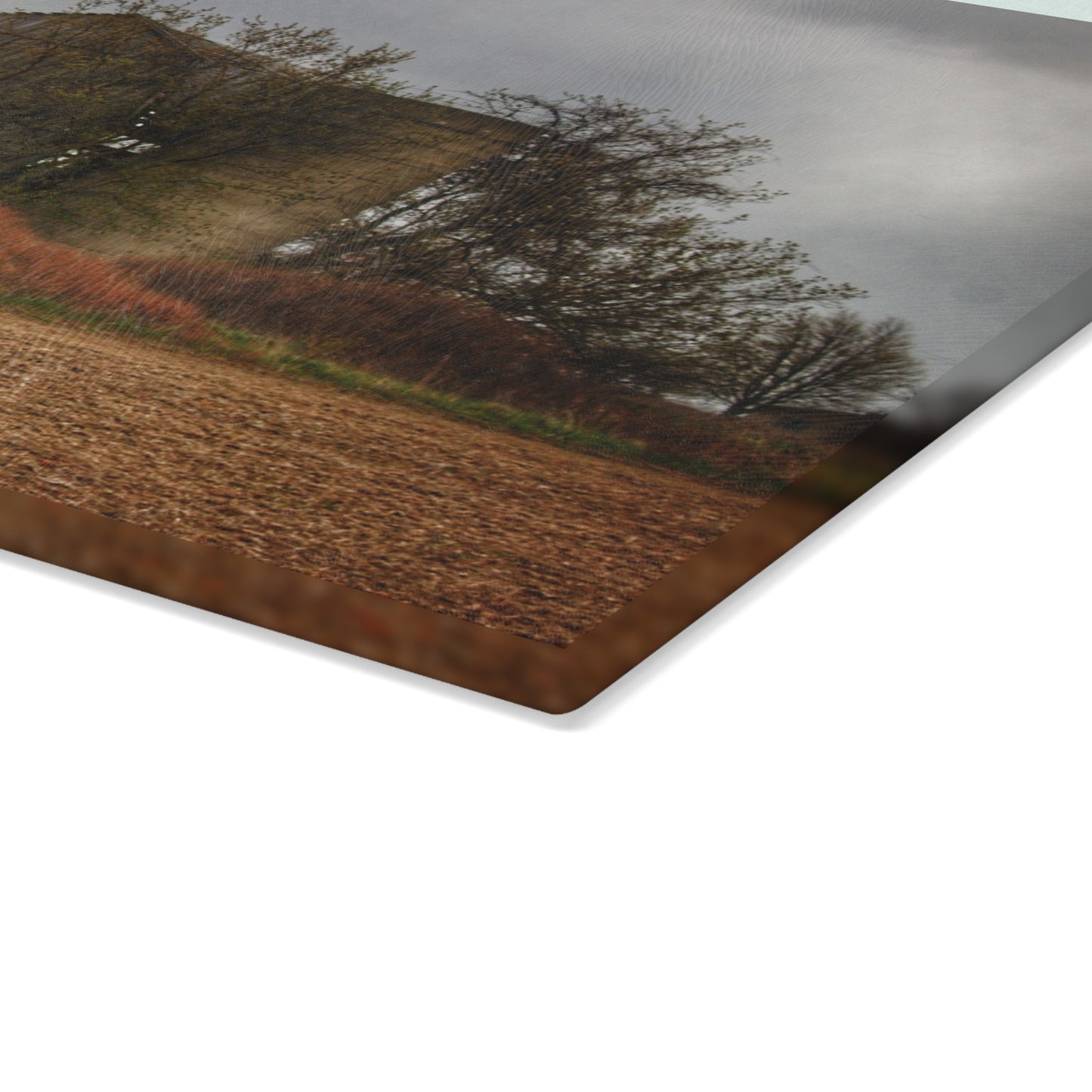 U R There Photography West Snover Grey Rustic Farmhouse Tempered-Glass Cutting Board