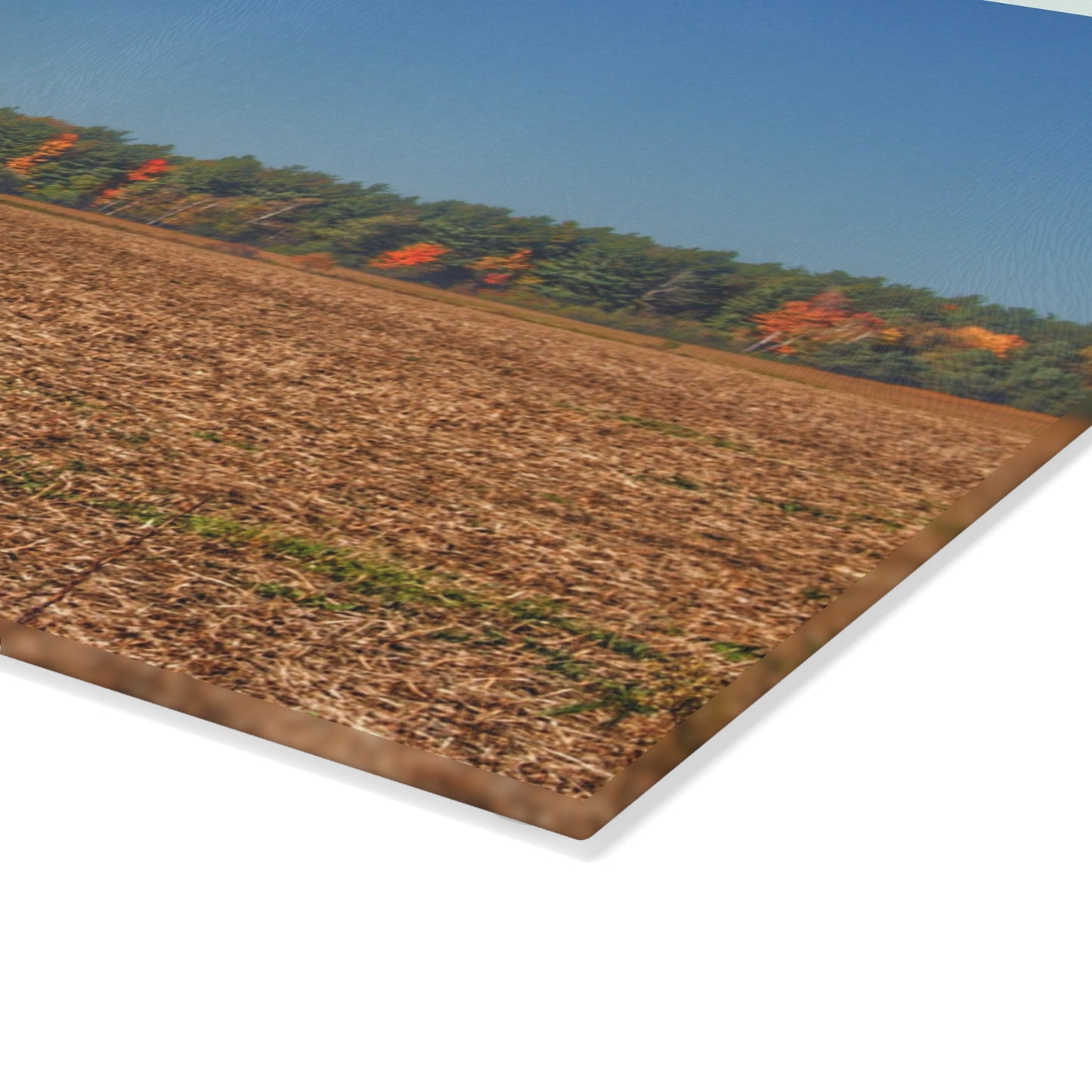 U R There Photography Rowe Road Farm Across the Field Rustic Farmhouse Tempered-Glass Cutting Board