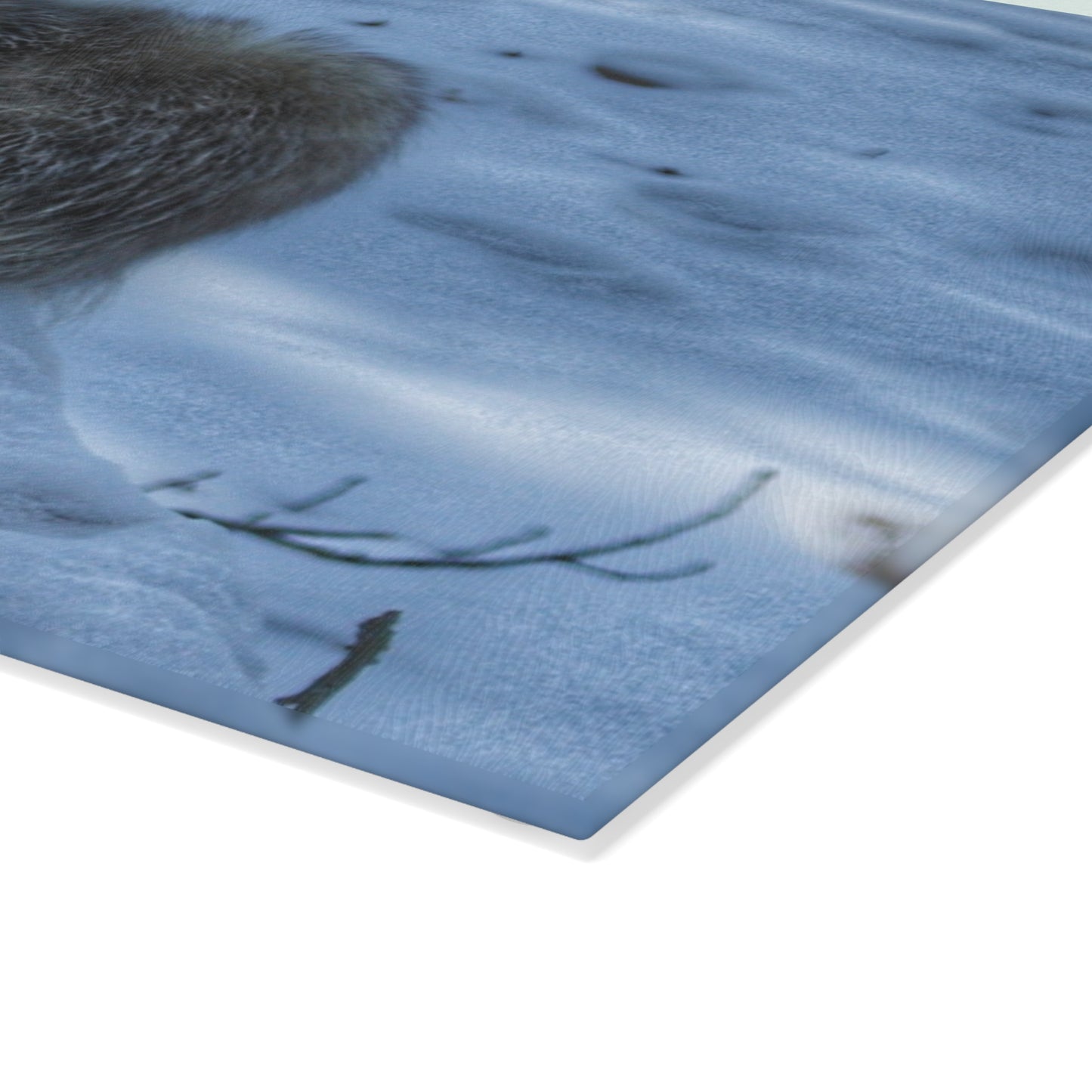 U R There Photography Sutton Road Possum Rustic Farmhouse Tempered-Glass Cutting Board