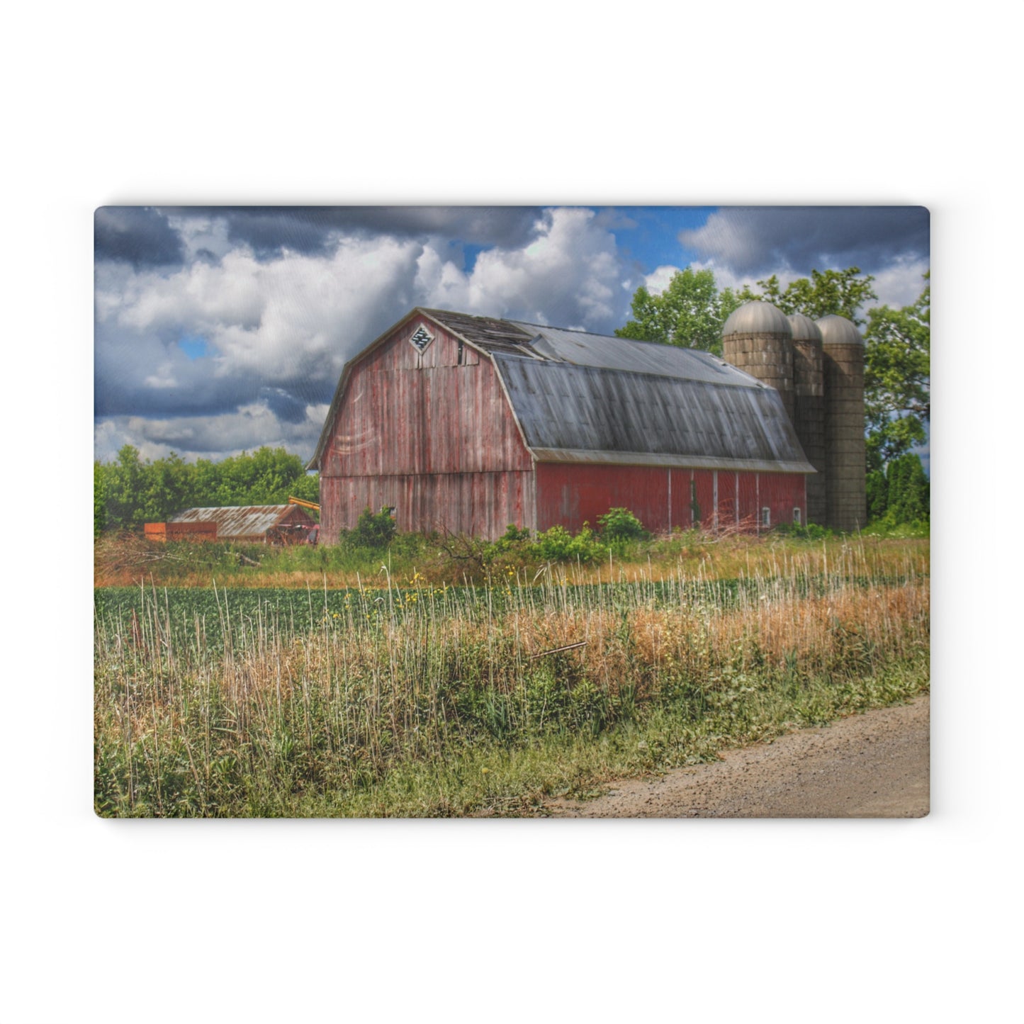 U R There Photography Shelby Red III Rustic Farmhouse Tempered-Glass Cutting Board