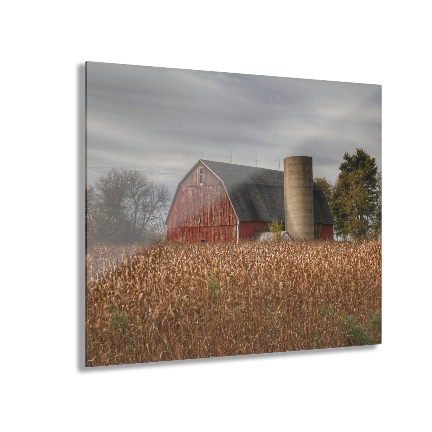 U R There Photography Shepard Road Red Rustic Farmhouse Acrylic Wall Print