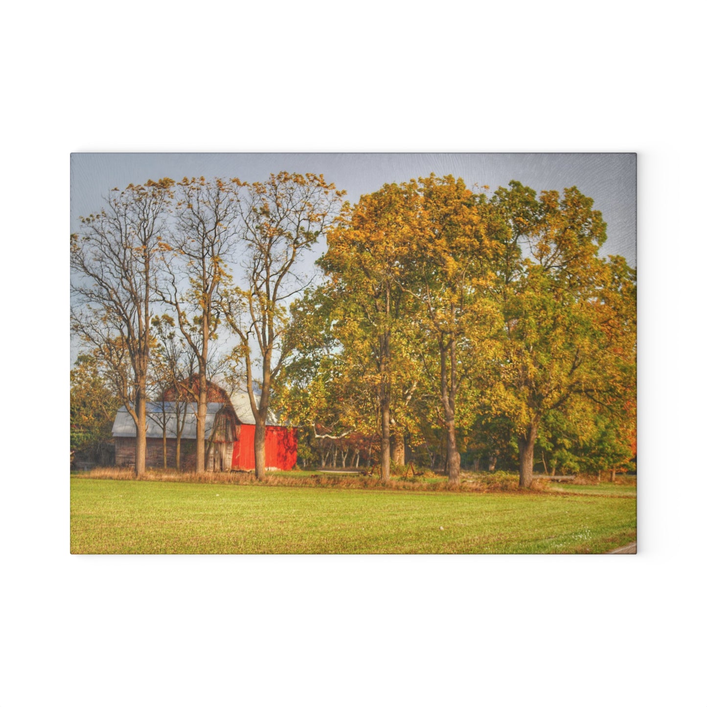 U R There Photography Barkley Road Red II Rustic Farmhouse Tempered-Glass Cutting Board