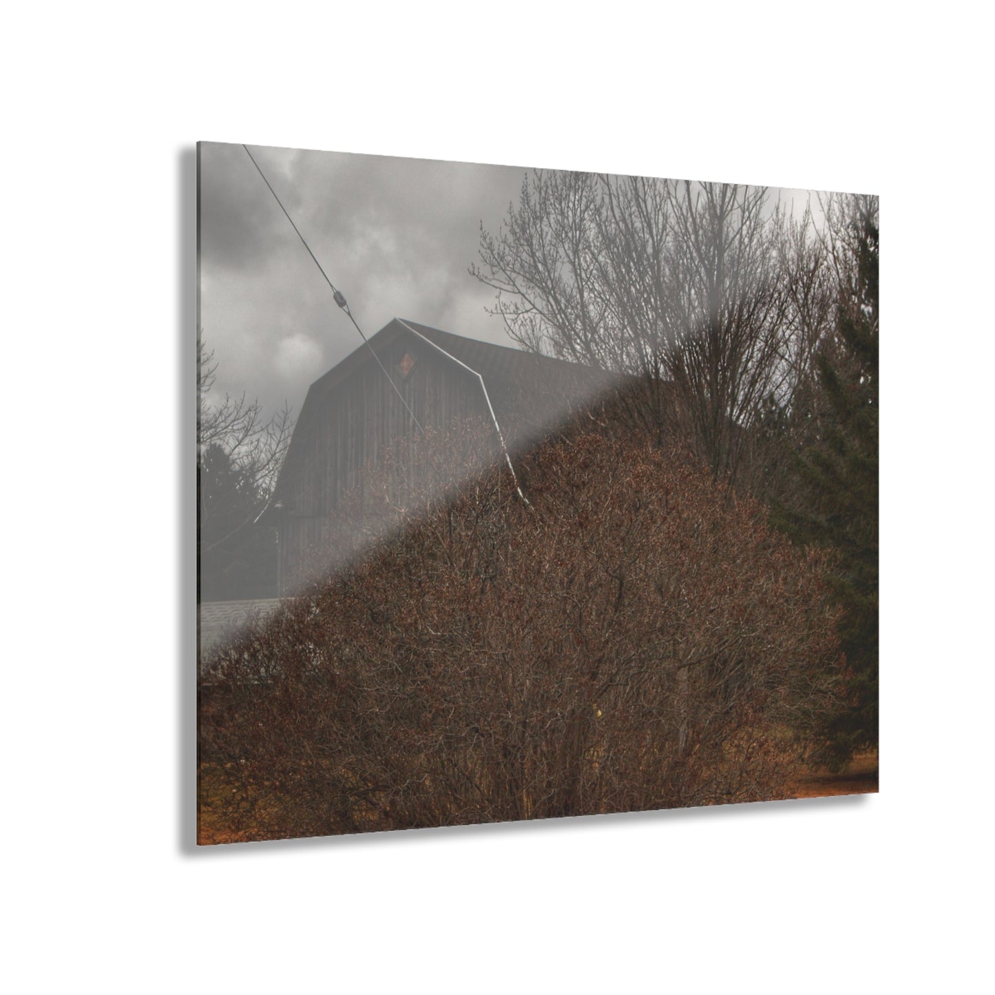 U R There Photography Caro Grey Hidden Rustic Farmhouse Acrylic Wall Print