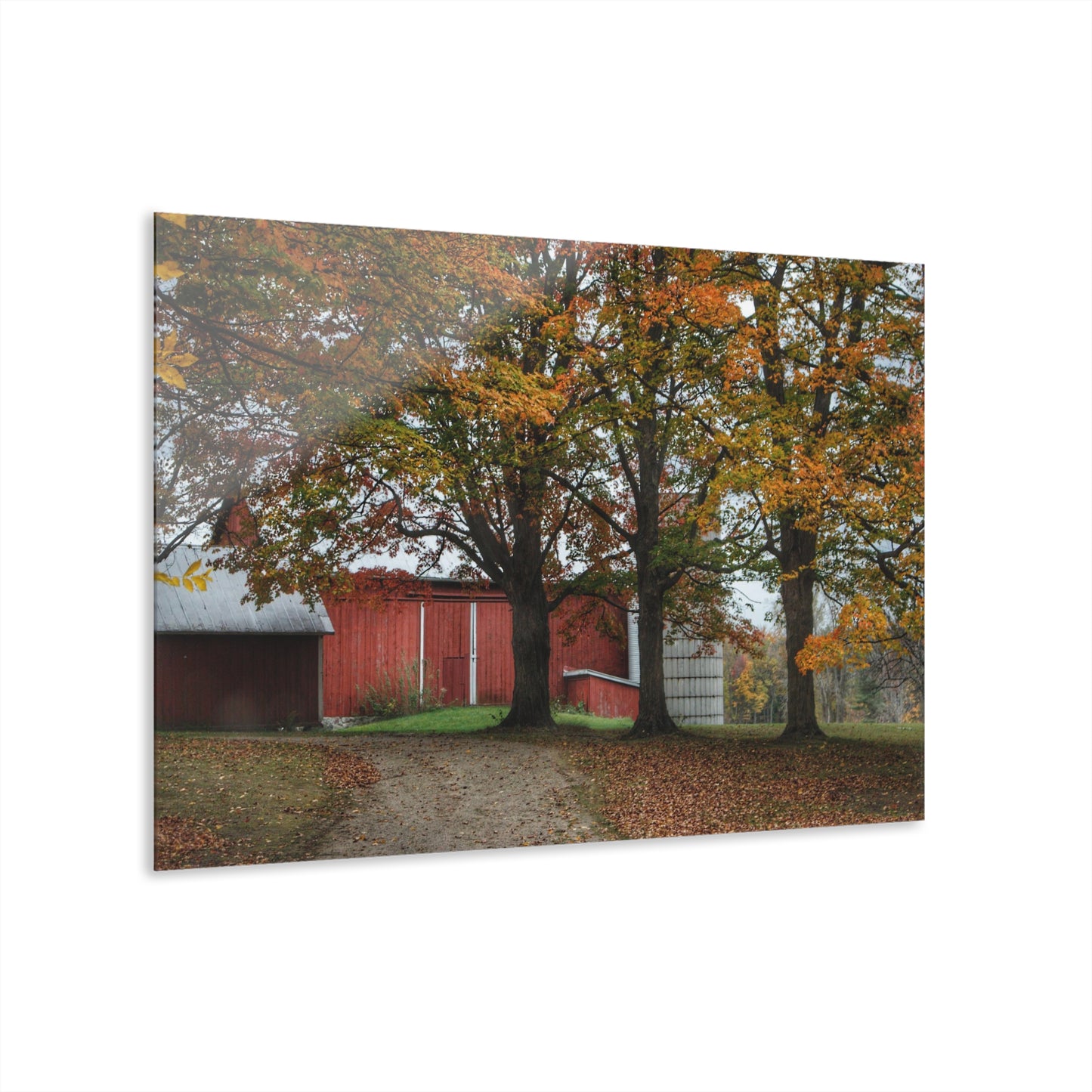 U R There Photography Brown Road Red in the Fall Rustic Farmhouse Acrylic Wall Print
