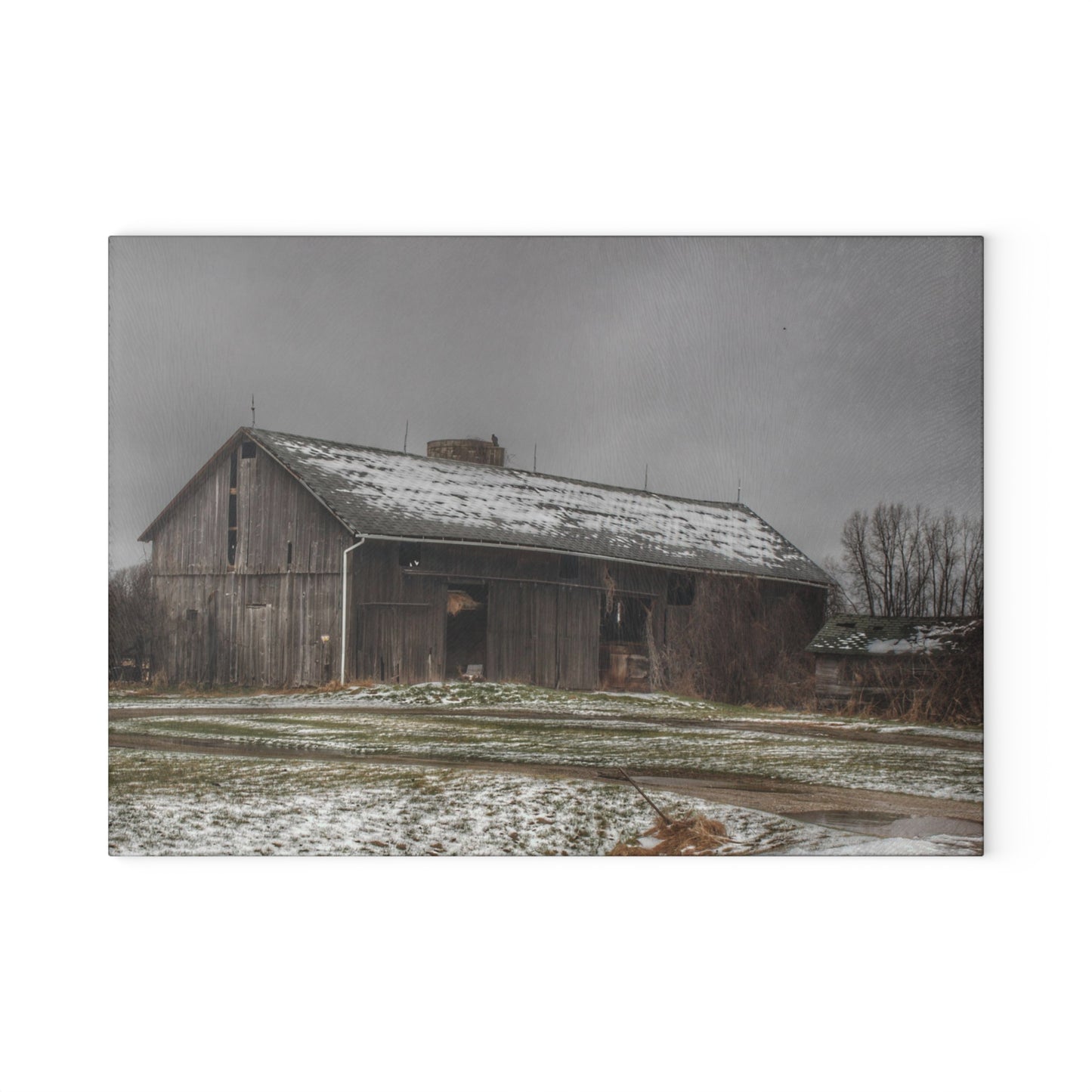 U R There Photography Wilder Road Grey in Spring Rustic Farmhouse Tempered-Glass Cutting Board