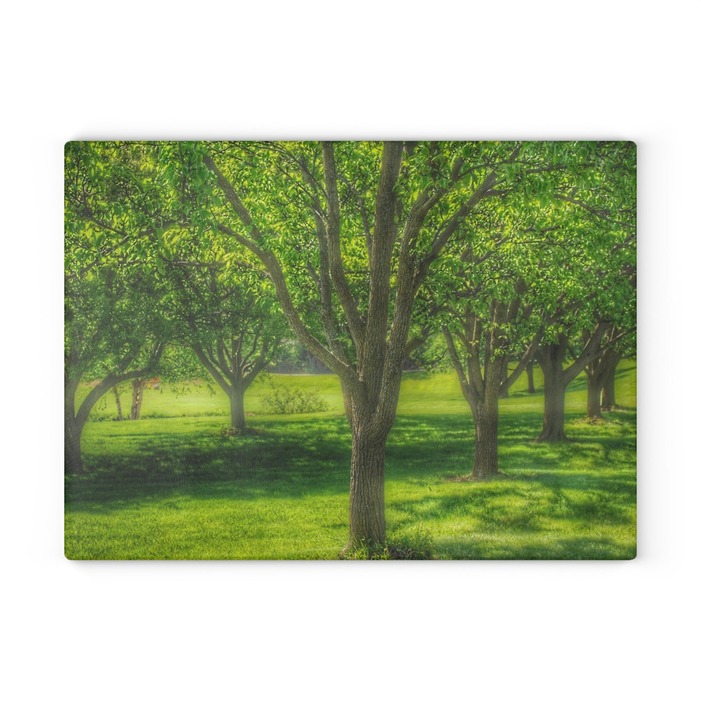 U R There Photography Spring Trees in Chartreuse Rustic Farmhouse Tempered-Glass Cutting Board