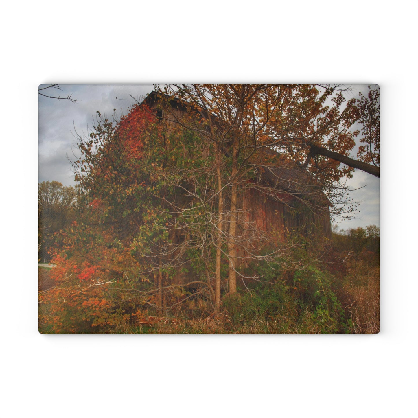 U R There Photography Annie's Barn III Rustic Farmhouse Tempered-Glass Cutting Board