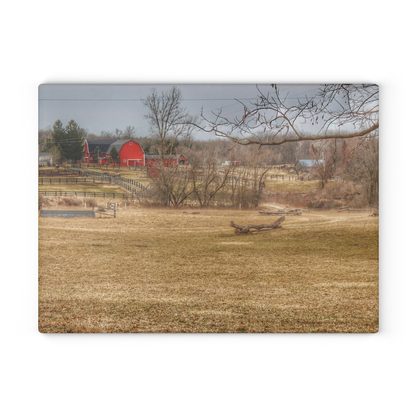 U R There Photography Beyond the Trees on Rock Valley Road Rustic Farmhouse Tempered-Glass Cutting Board