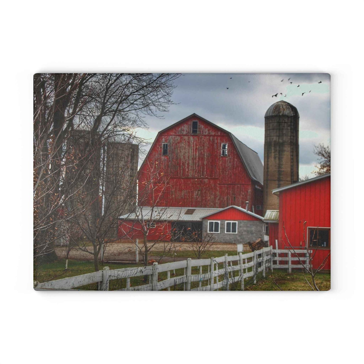 U R There Photography Peck Red Rustic Farmhouse Tempered-Glass Cutting Board