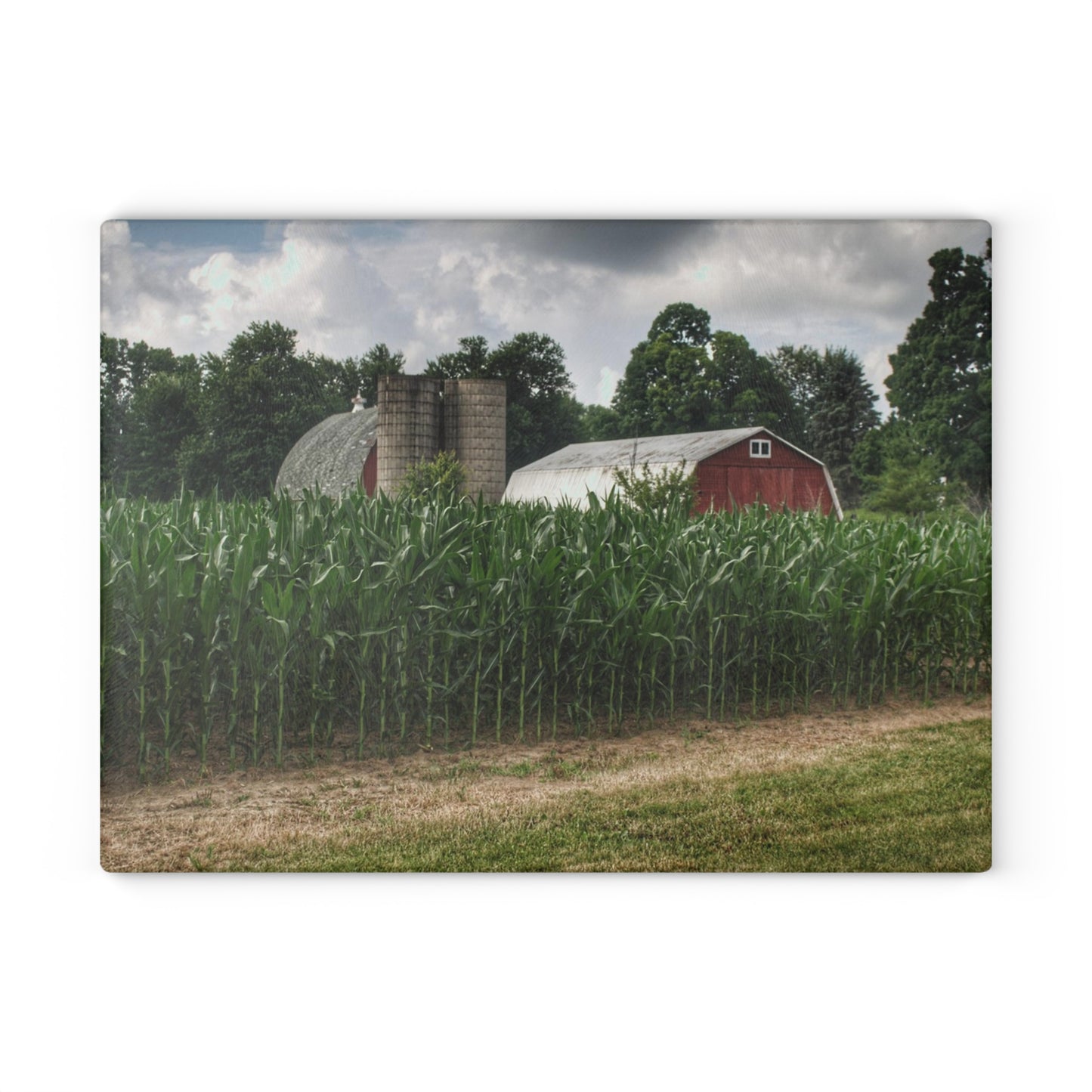 U R There Photography Scotch Settlement Reds Rustic Farmhouse Tempered-Glass Cutting Board