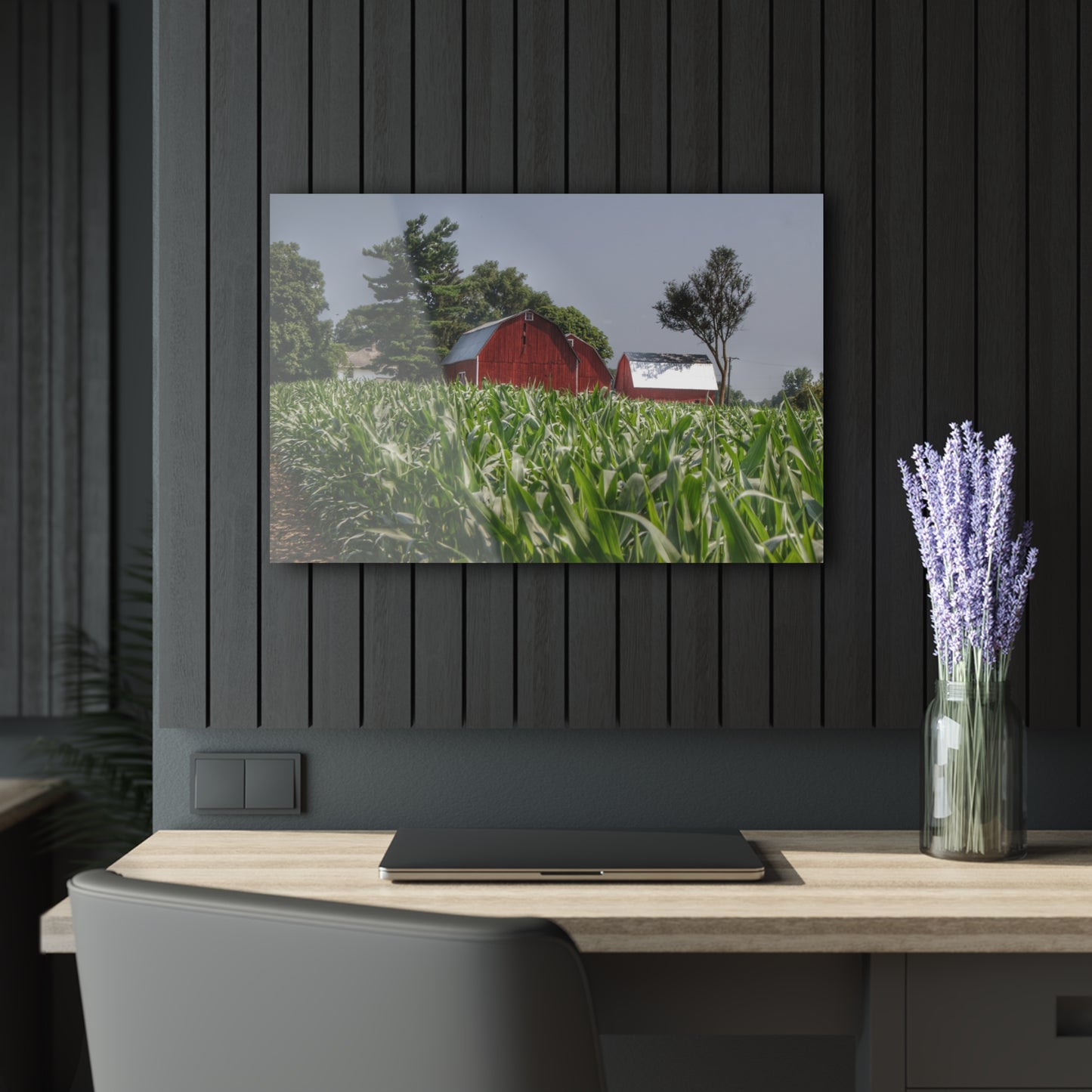 U R There Photography Shoemaker Reds Rustic Farmhouse Acrylic Wall Print