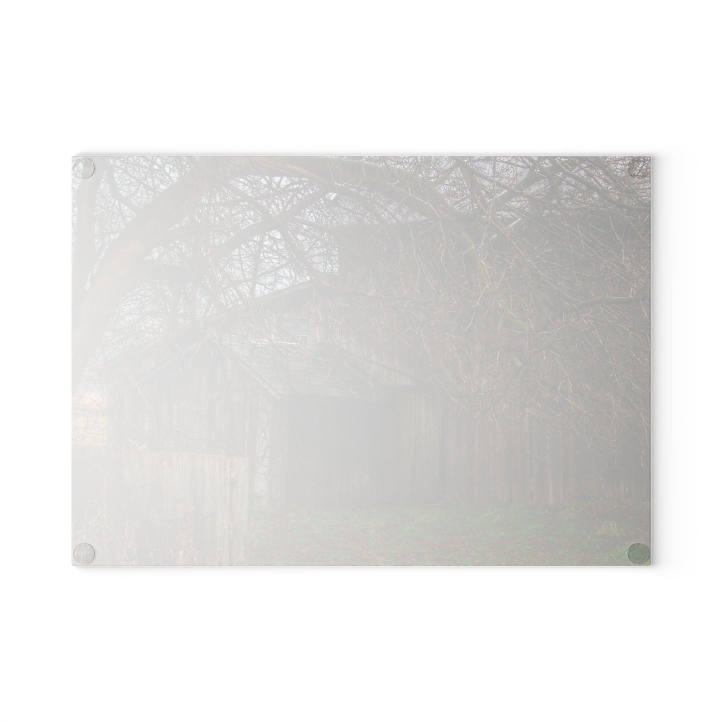 U R There Photography Bowers Road Greys III Rustic Farmhouse Tempered-Glass Cutting Board