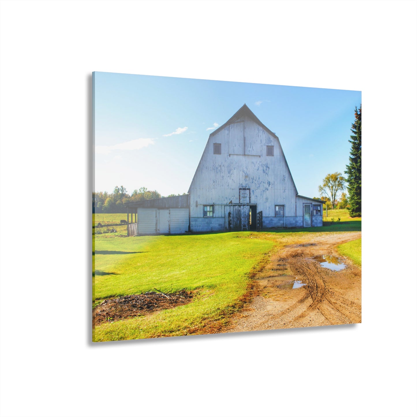 U R There Photography Yale Fremont Road Grey Rustic Farmhouse Acrylic Wall Print