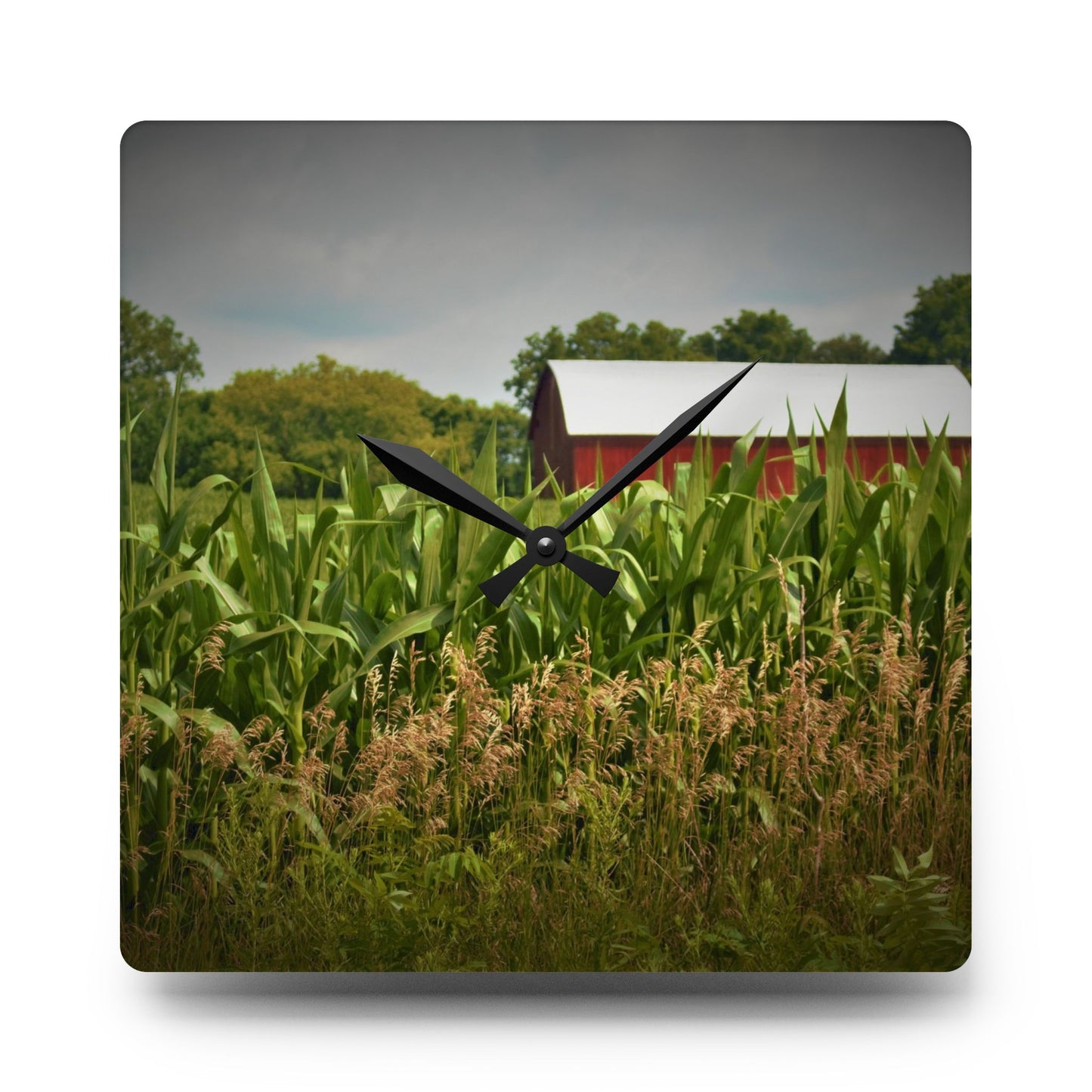 U R There Photography July Corn Rustic Farmhouse Acrylic Analog Wall Clock