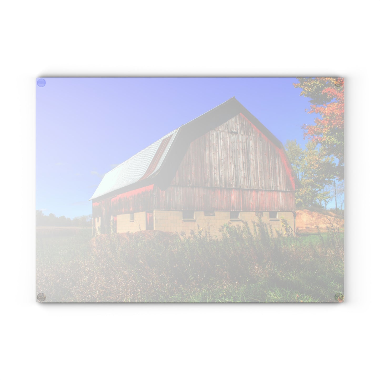 U R There Photography Byington Road Red II Rustic Farmhouse Tempered-Glass Cutting Board
