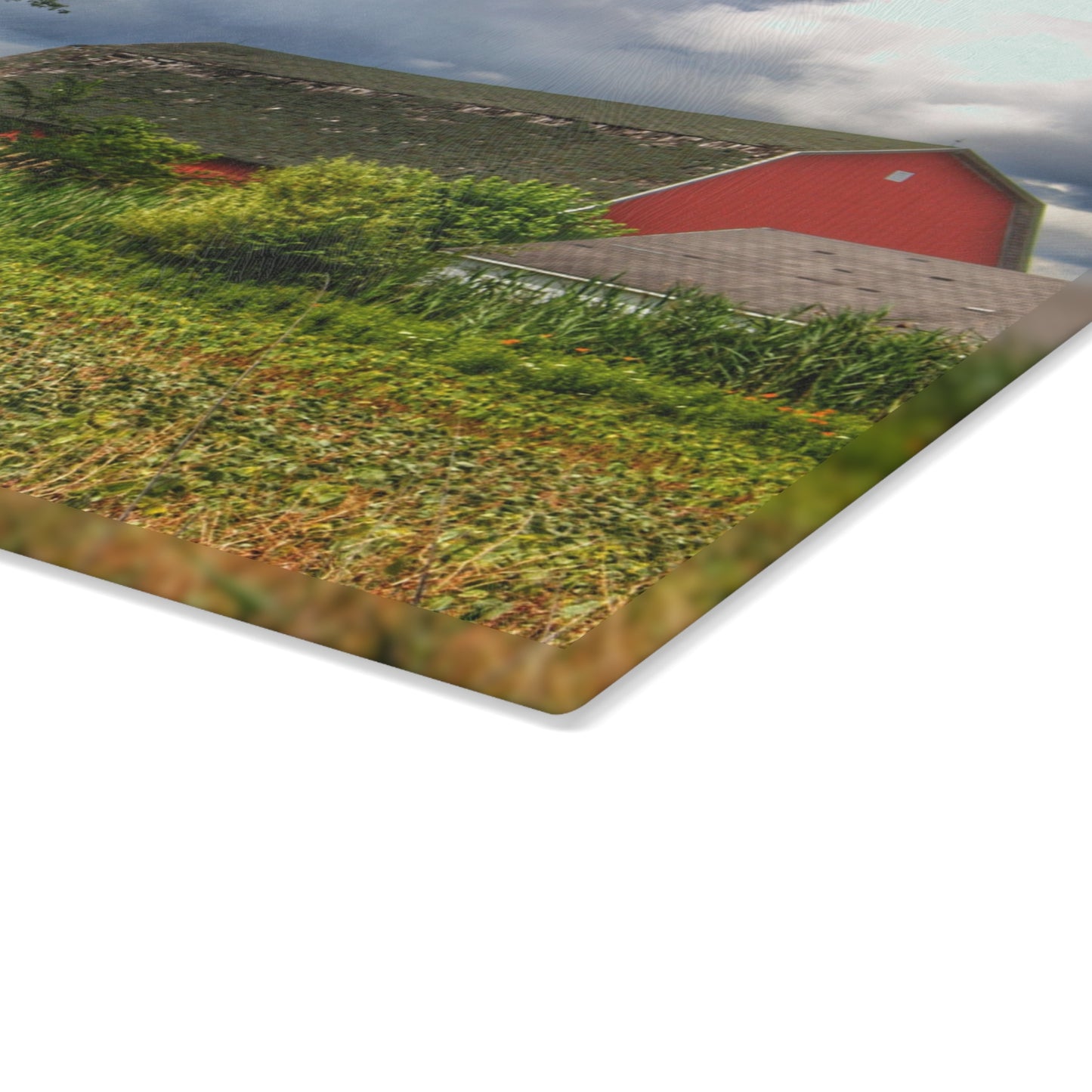 U R There Photography Shelby Red IV Rustic Farmhouse Tempered-Glass Cutting Board
