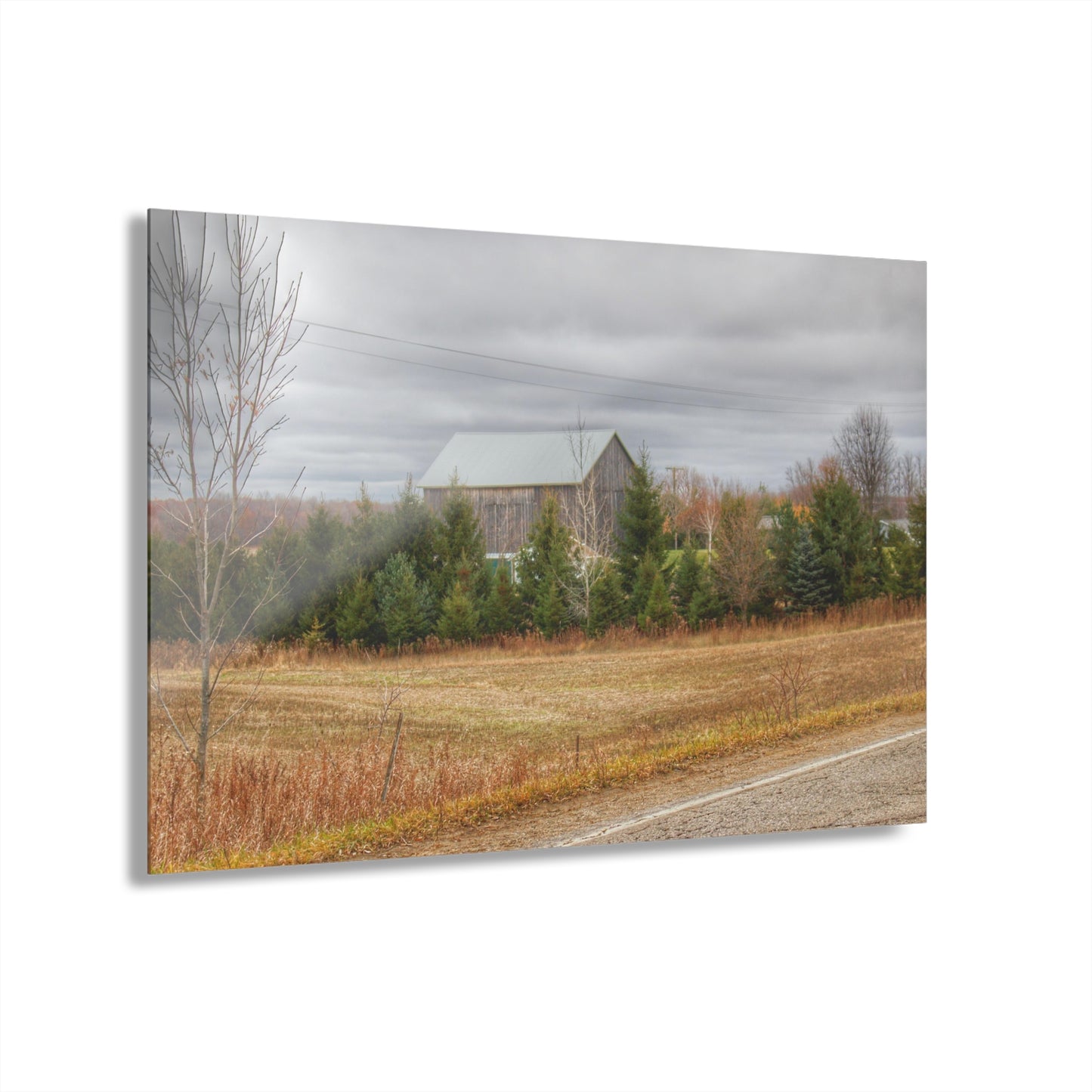 U R There Photography Burnside Grey Rustic Farmhouse Acrylic Wall Print