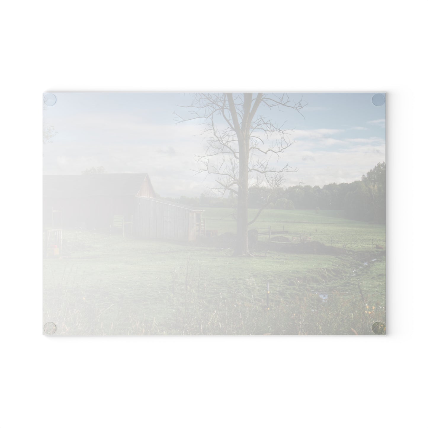 U R There Photography West Oregon Road Hidden Red III Rustic Farmhouse Tempered-Glass Cutting Board