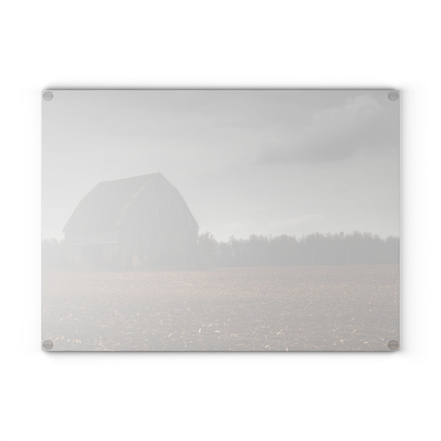 U R There Photography Stone Road Old Grey I Rustic Farmhouse Tempered-Glass Cutting Board