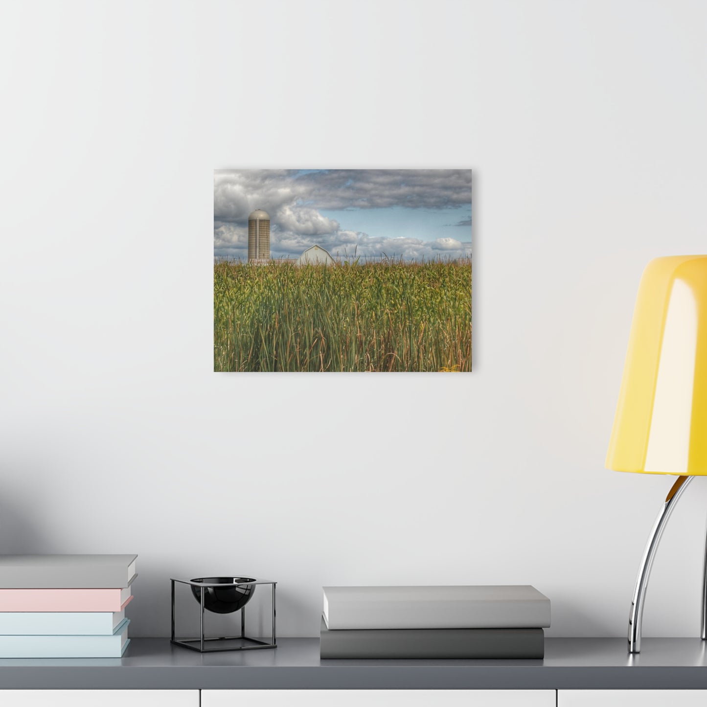 U R There Photography White Barn Overlooking Cornfield Rustic Farmhouse Acrylic Wall Print