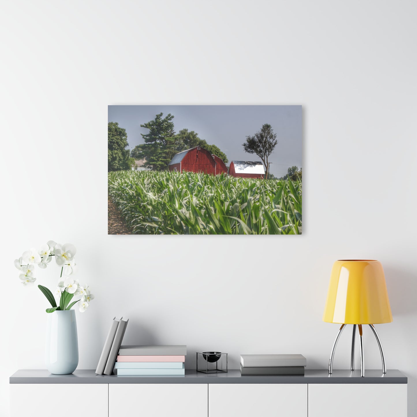 U R There Photography Shoemaker Reds Rustic Farmhouse Acrylic Wall Print