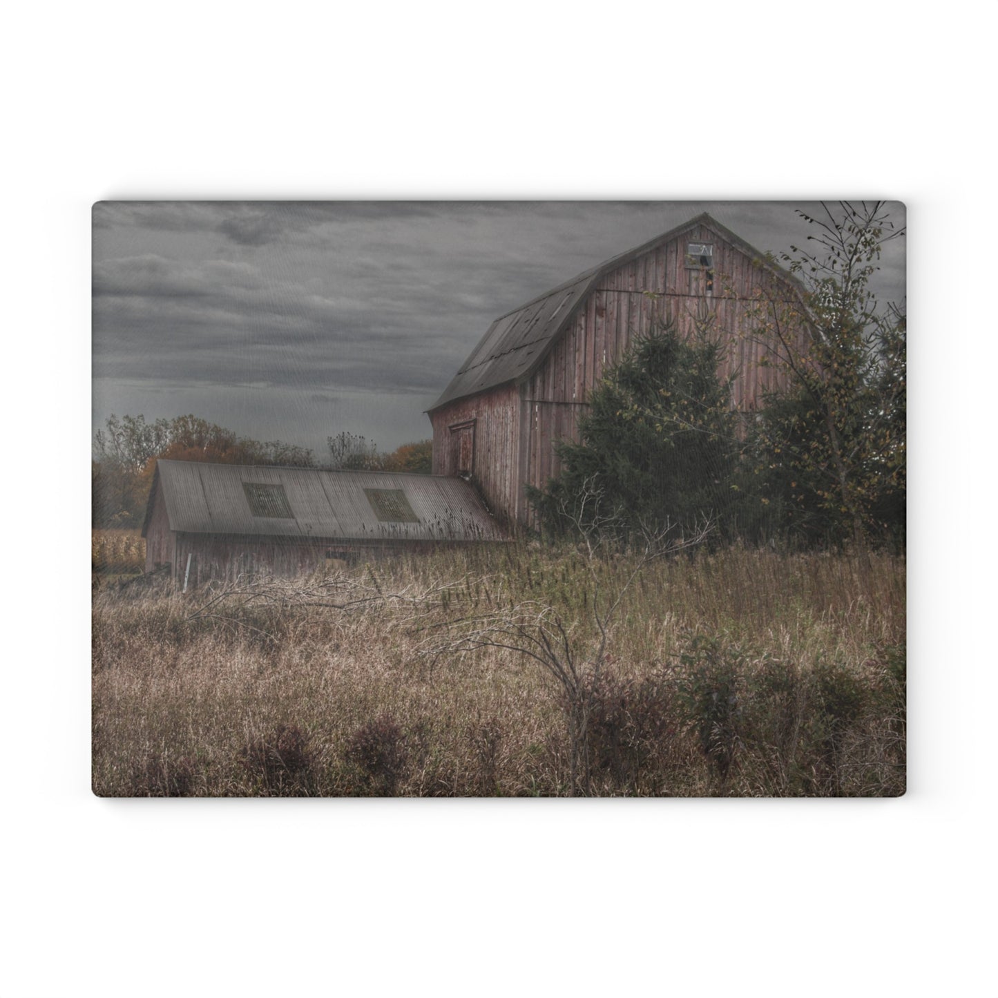 U R There Photography Treasurer Road Red Rustic Farmhouse Tempered-Glass Cutting Board